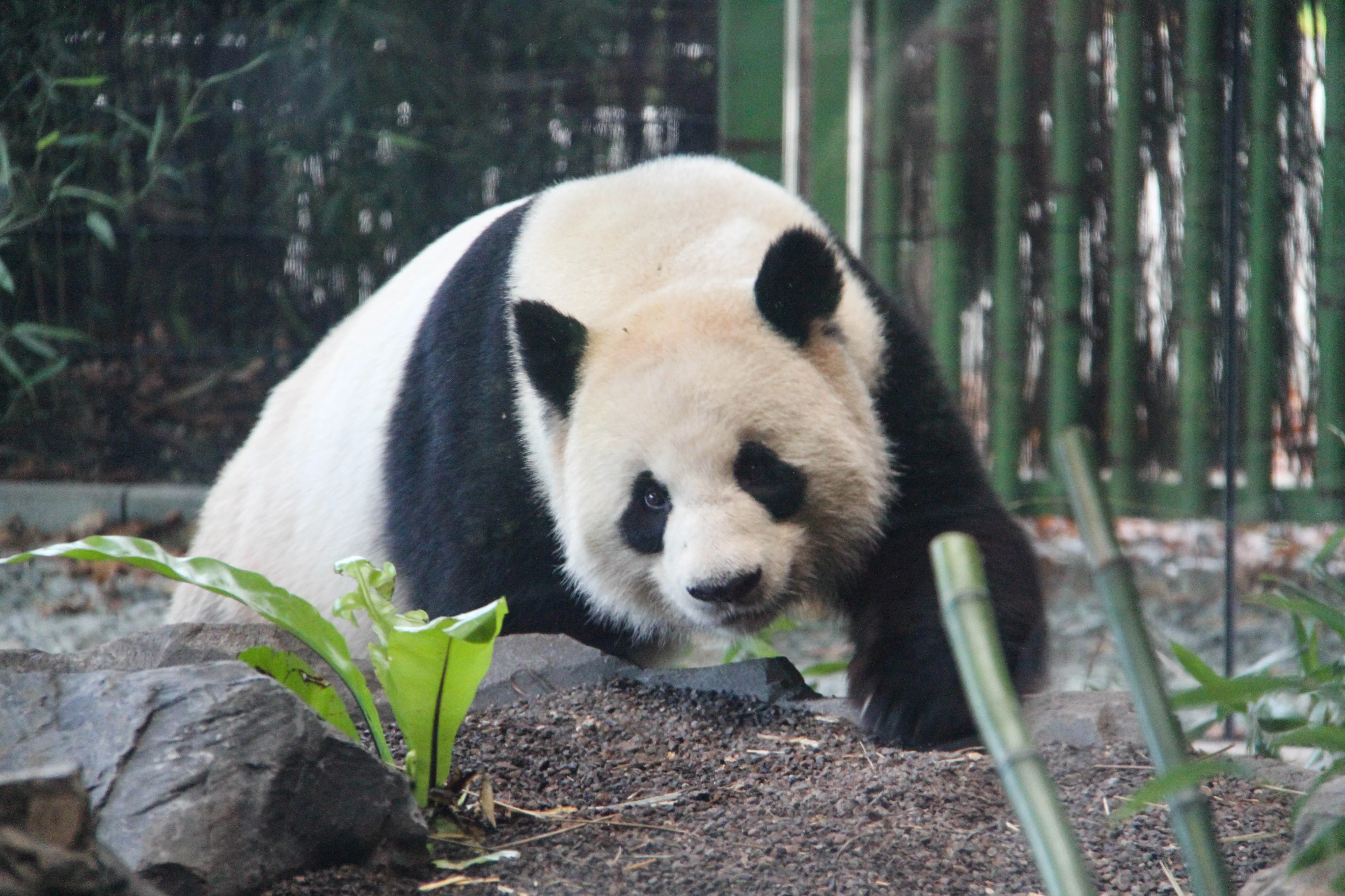 Zoo Berlin