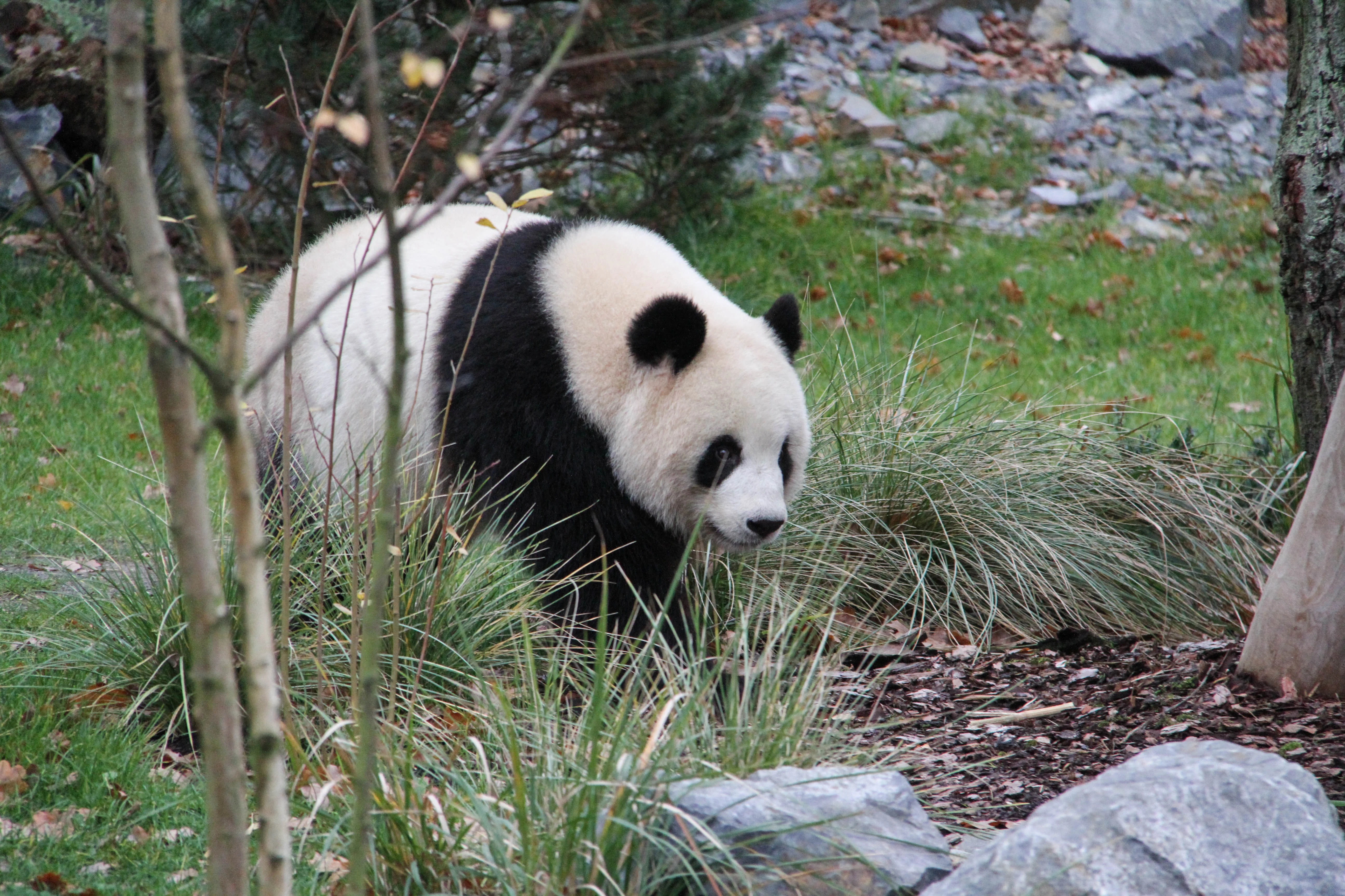 Zoo Berlin