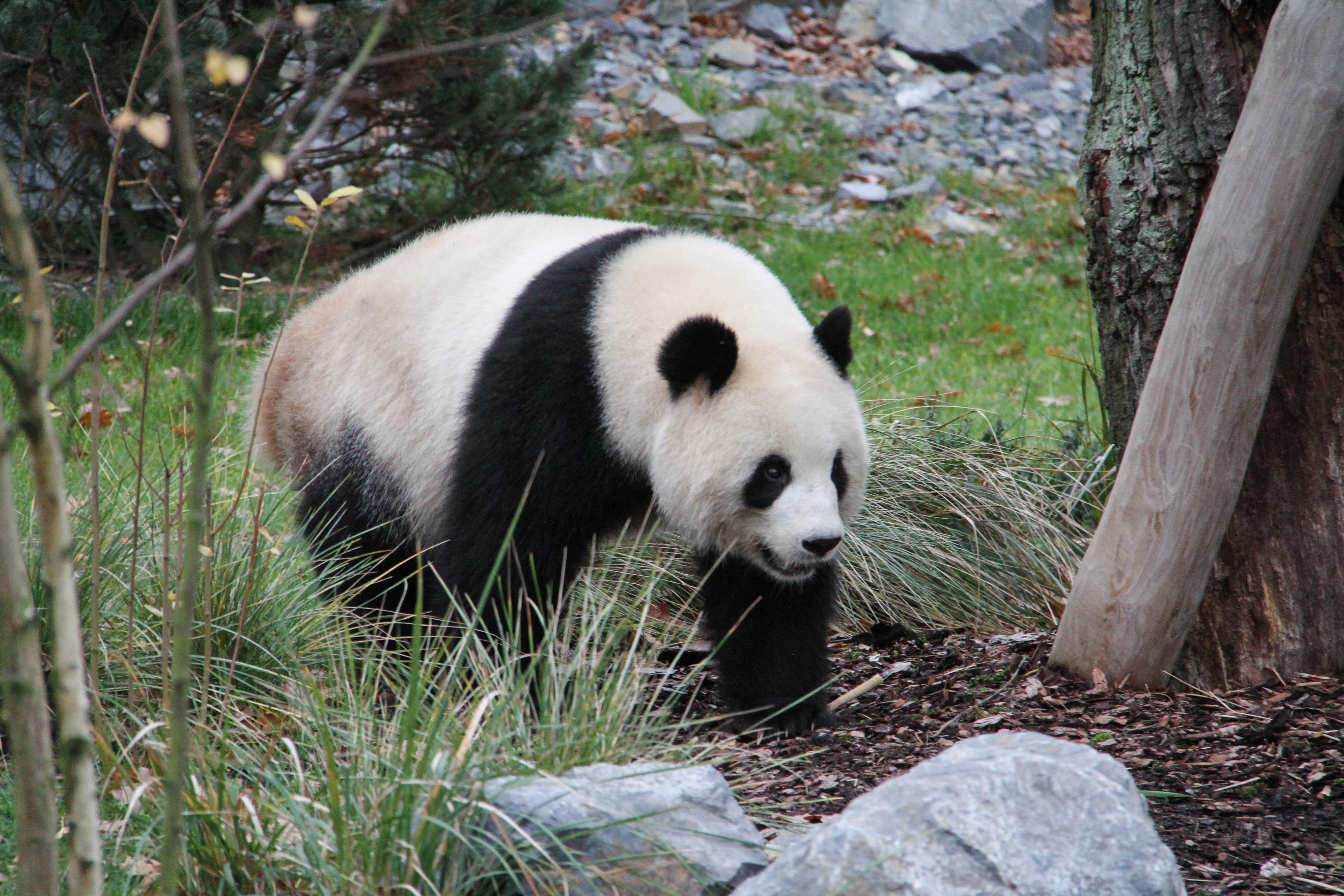 Zoo Berlin