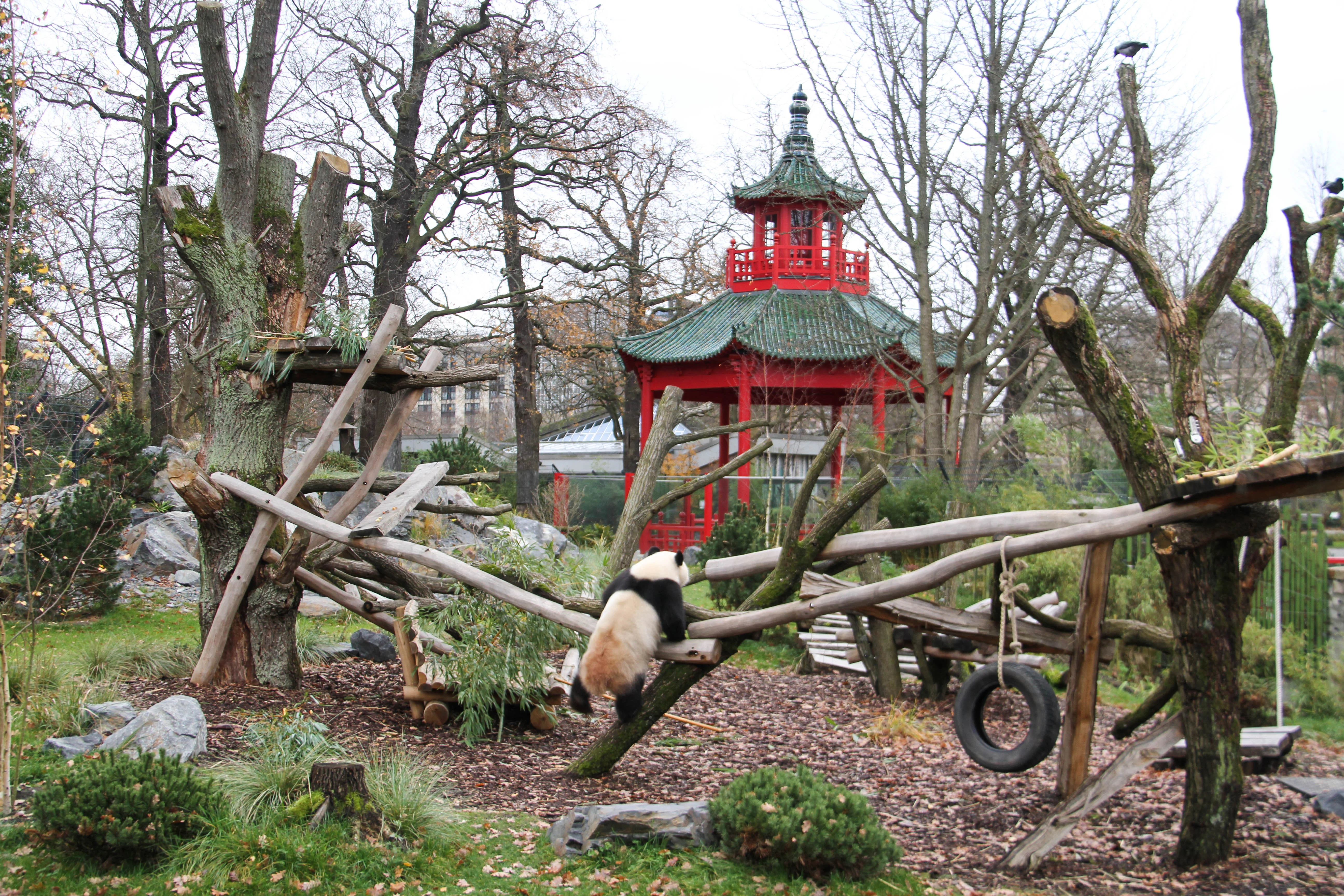 Zoo Berlin