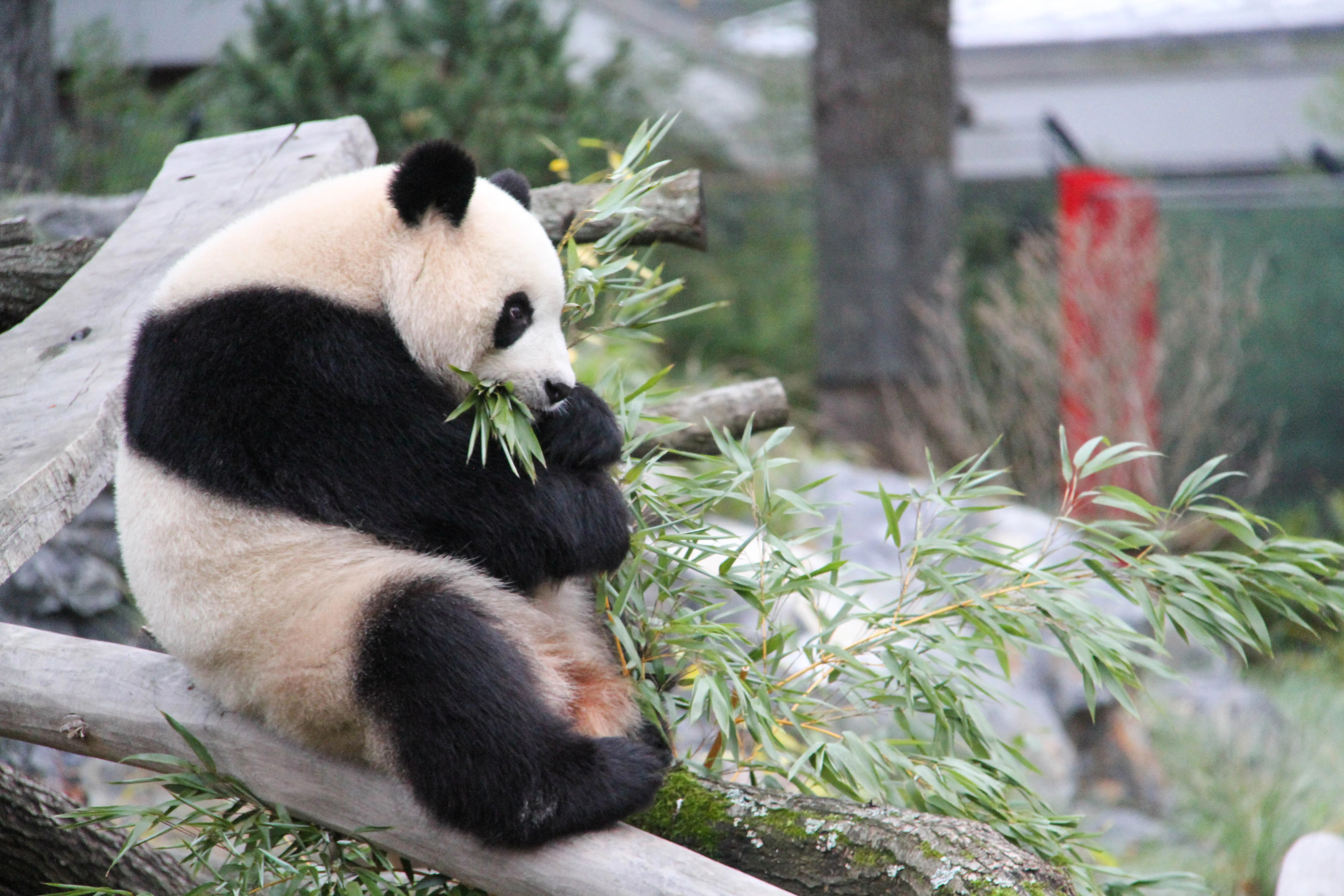 Zoo Berlin