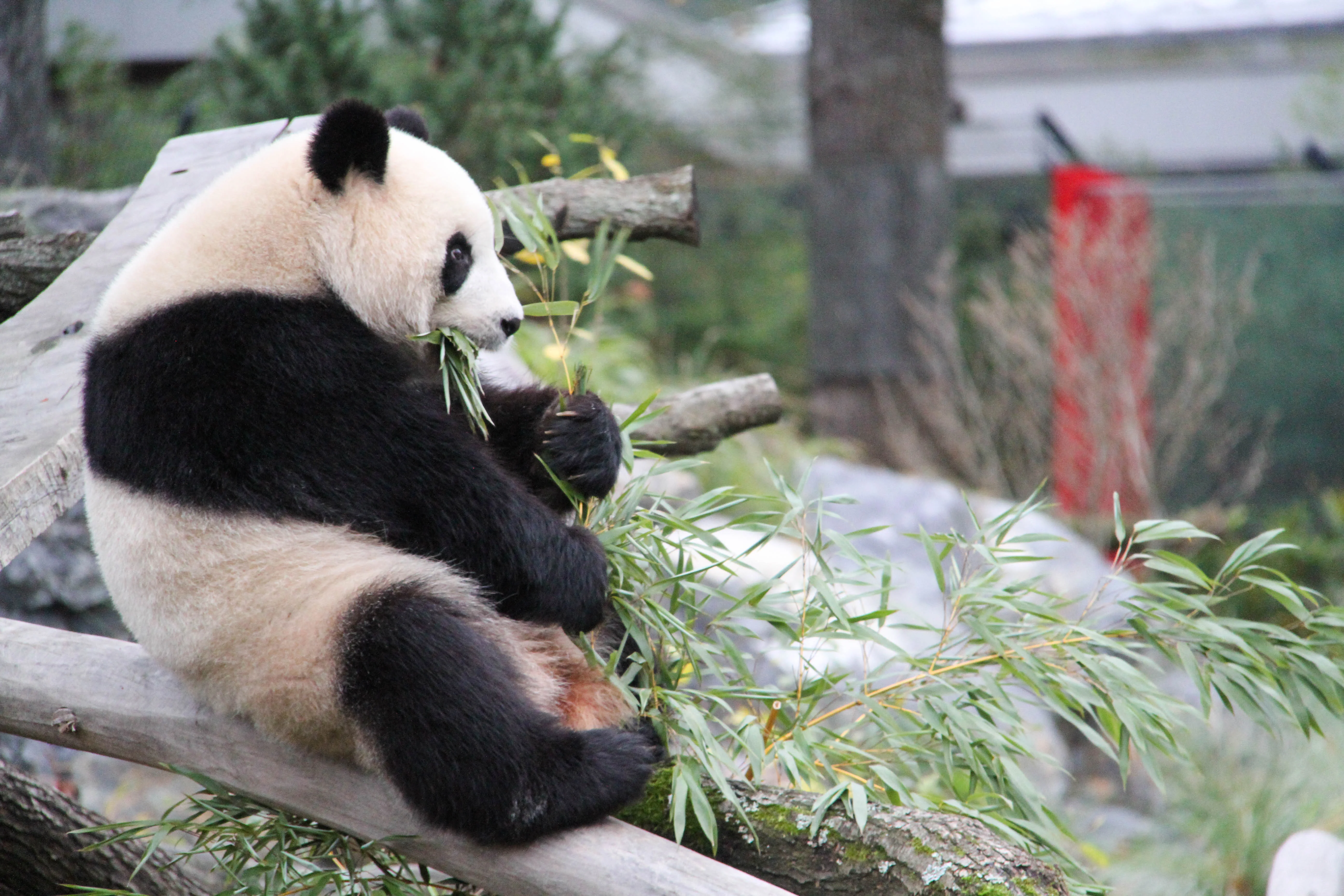 Zoo Berlin