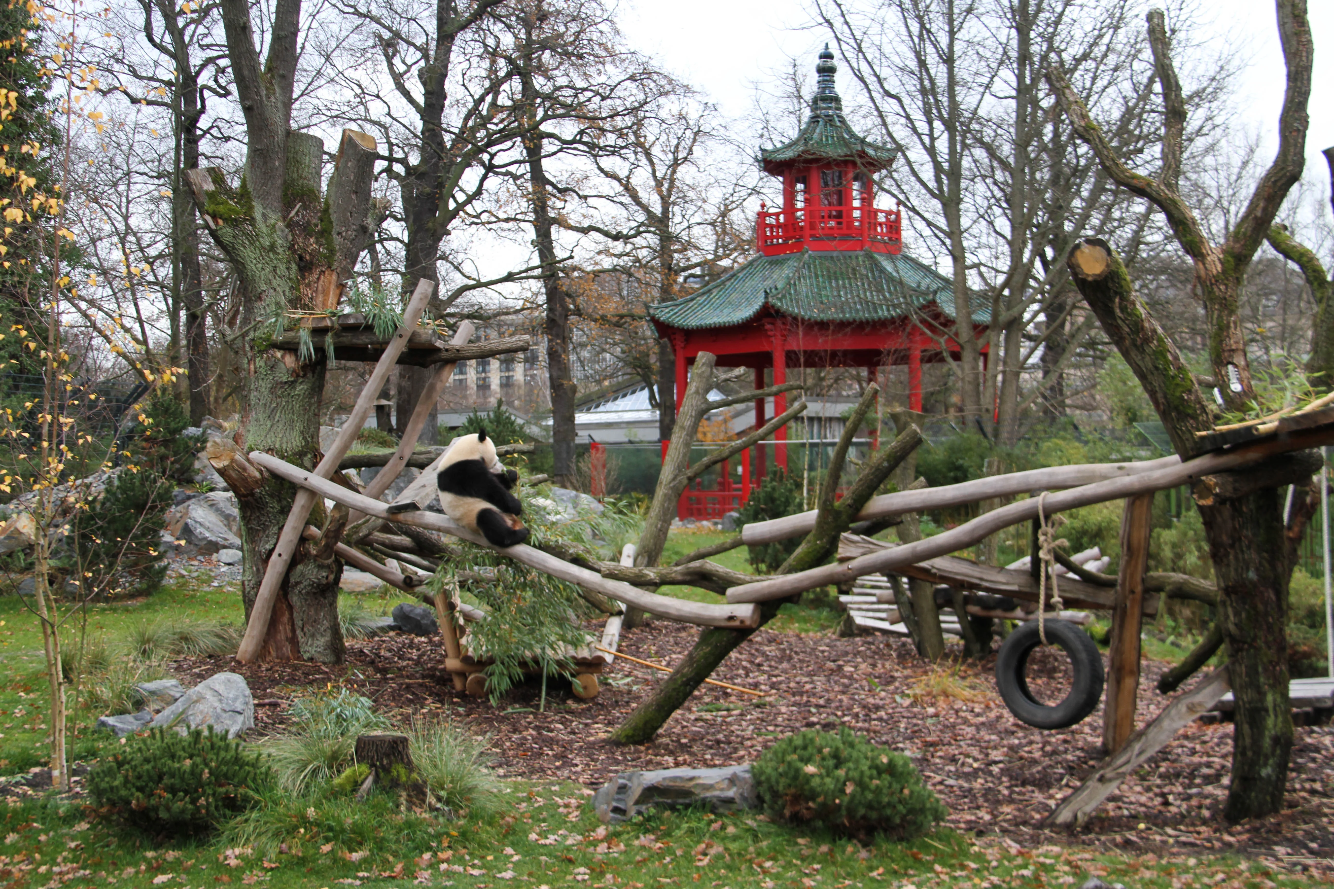Zoo Berlin