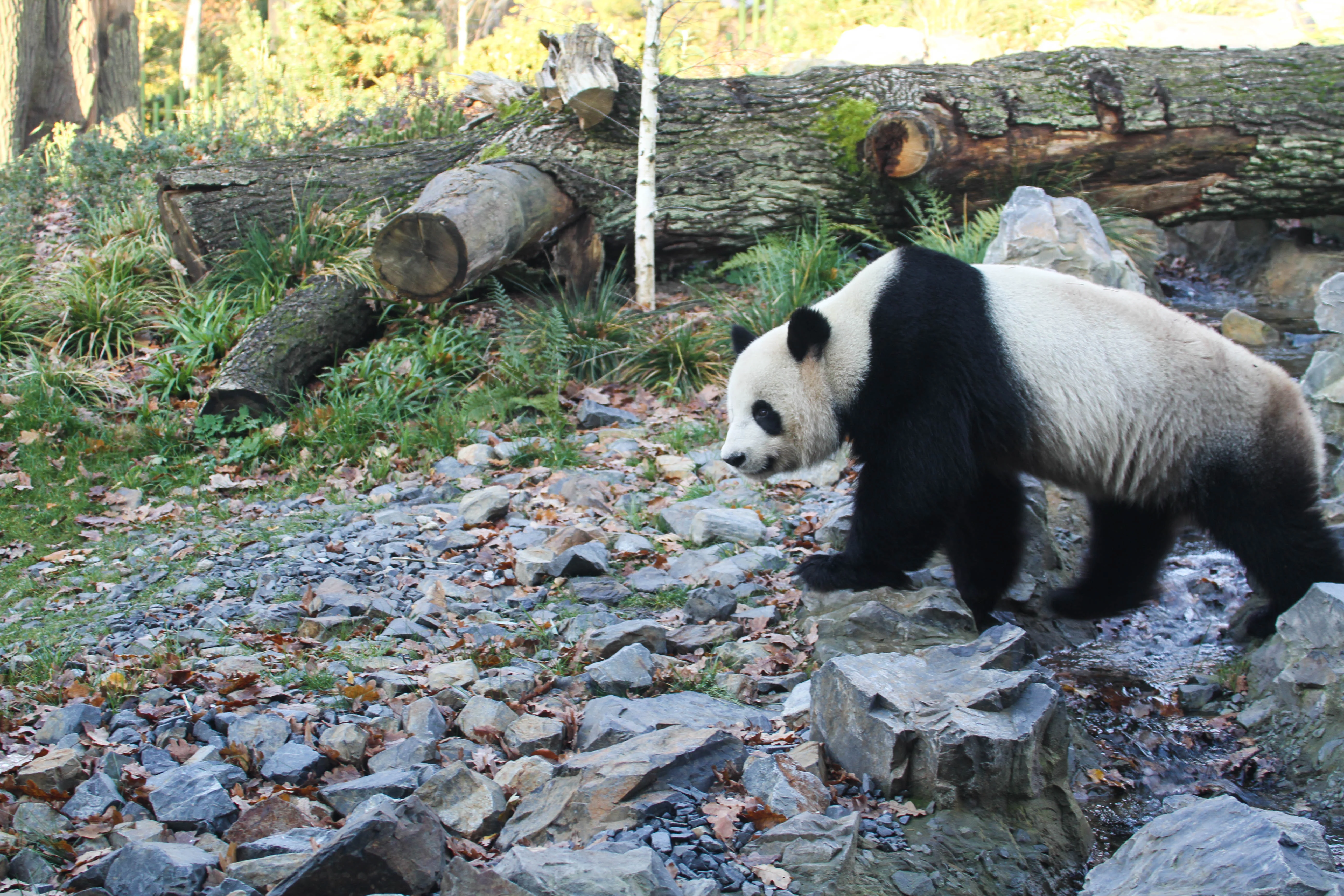 Zoo Berlin