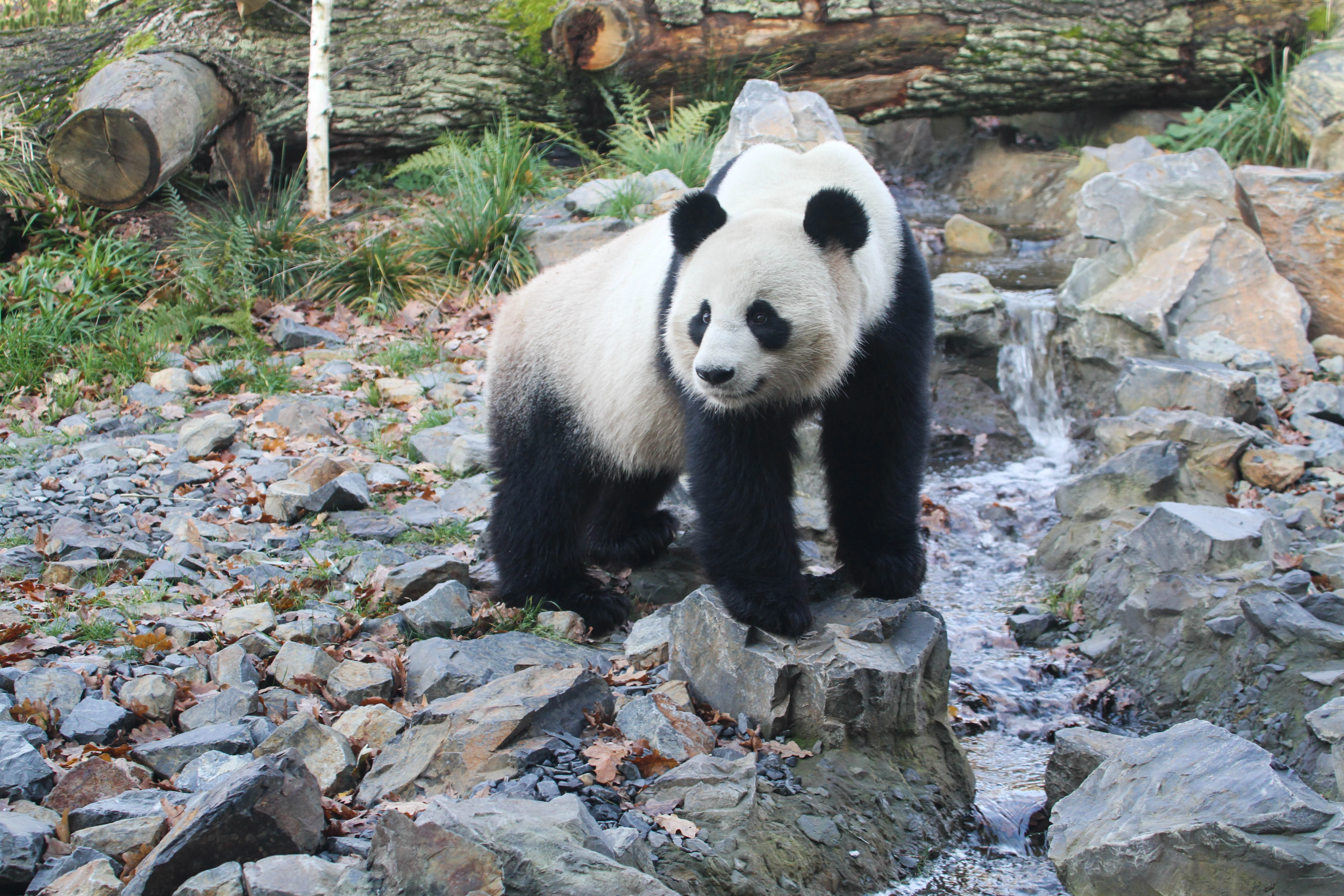 Zoo Berlin
