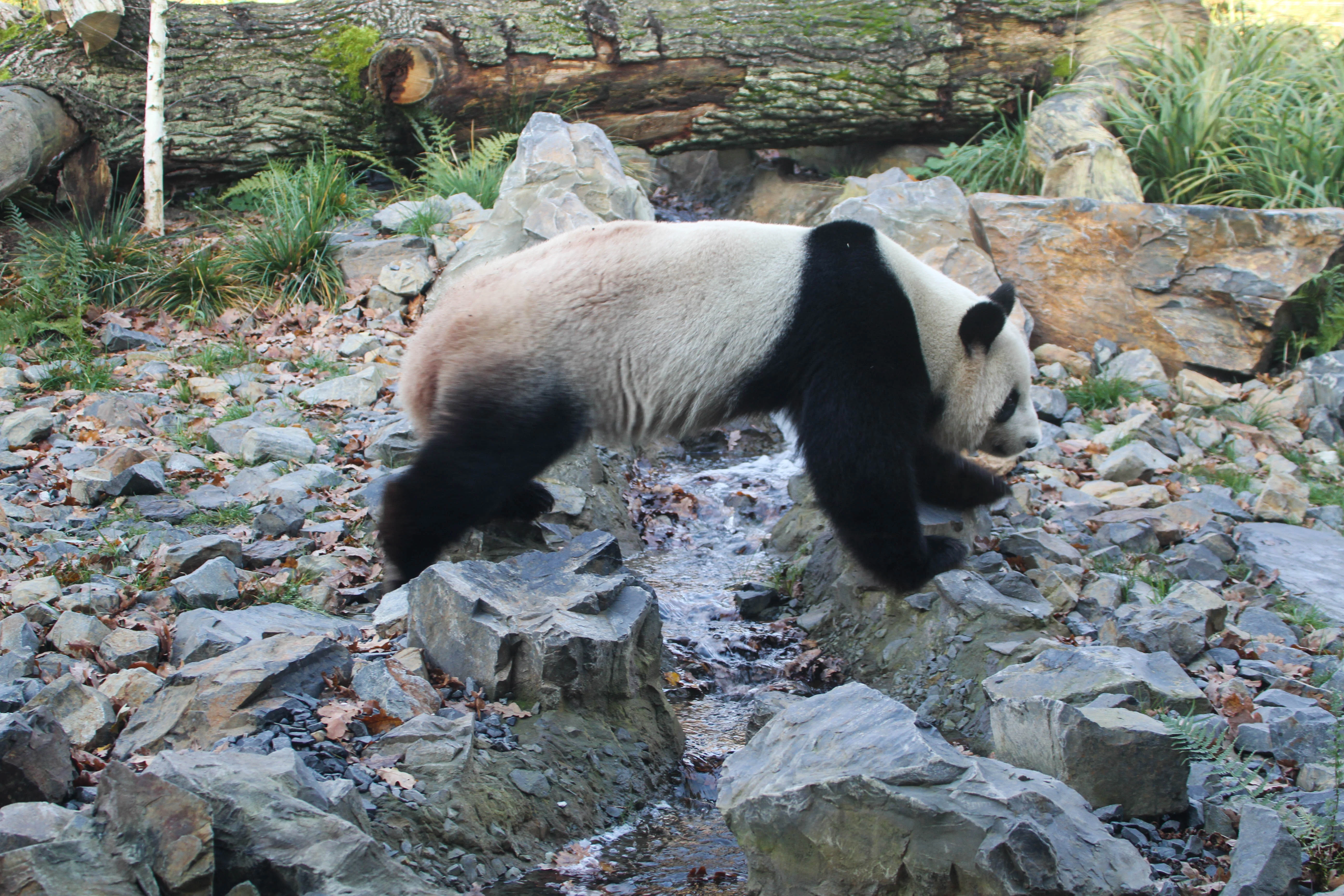Zoo Berlin