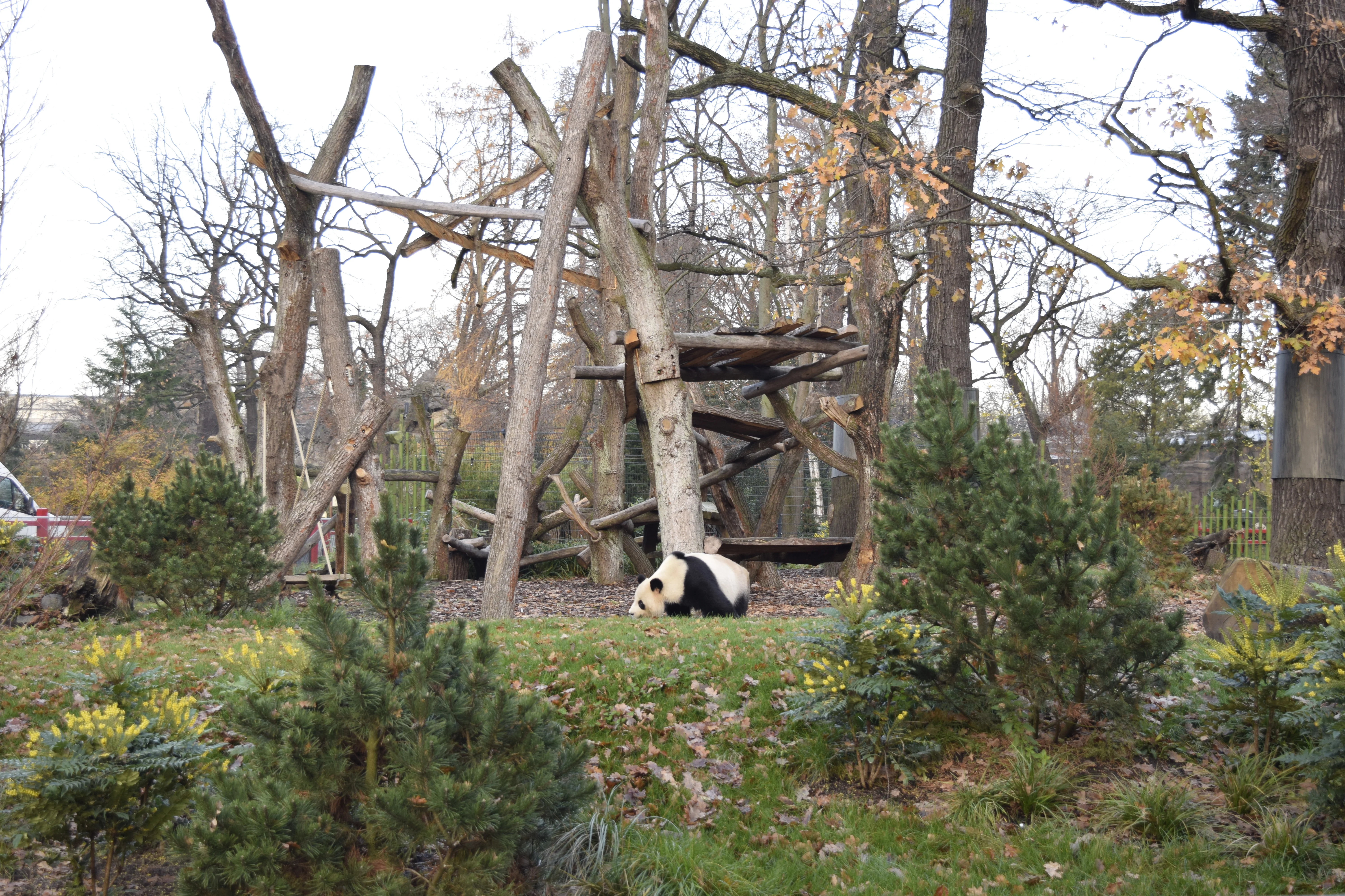 Zoo Berlin