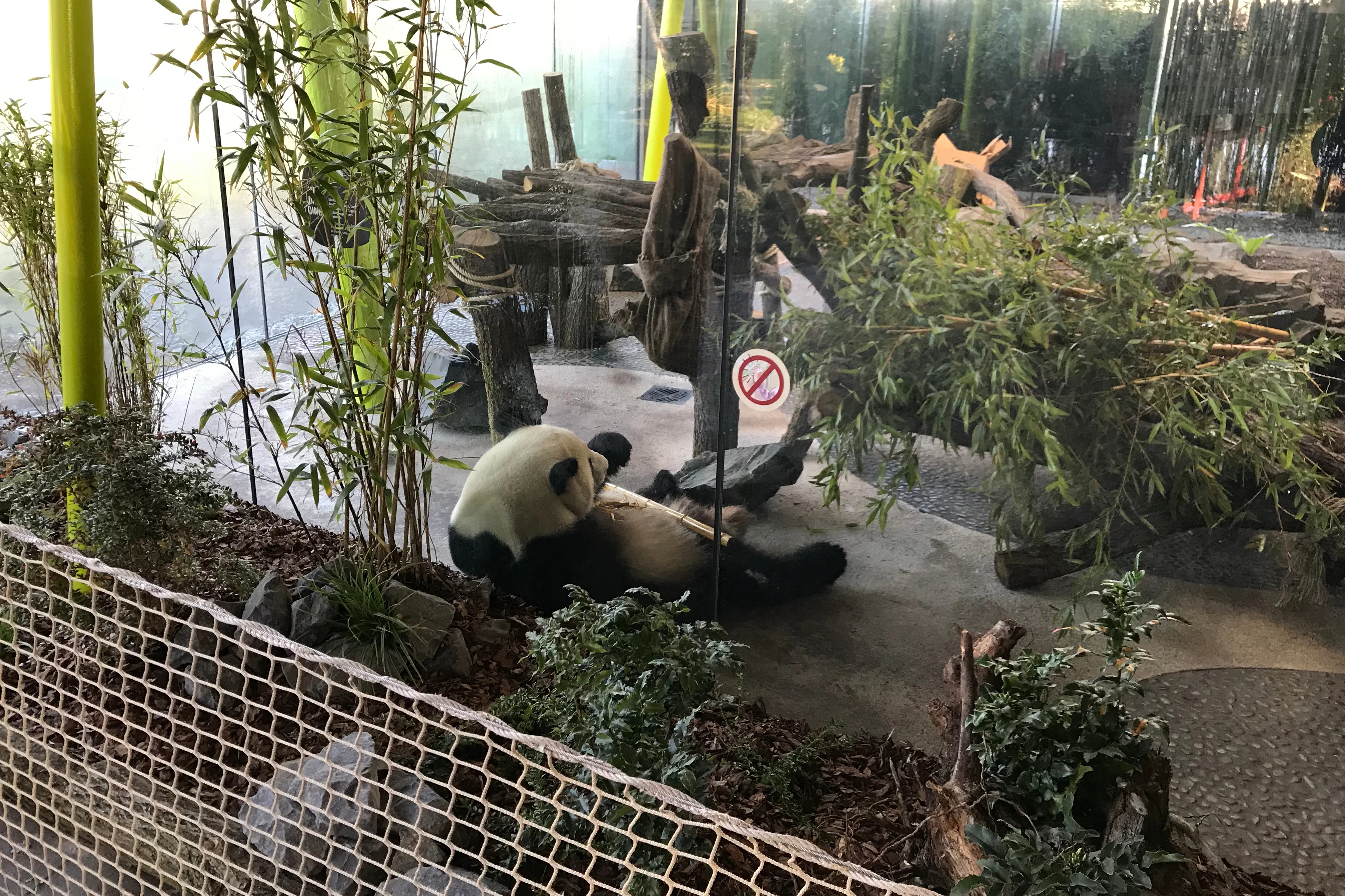 Zoo Berlin
