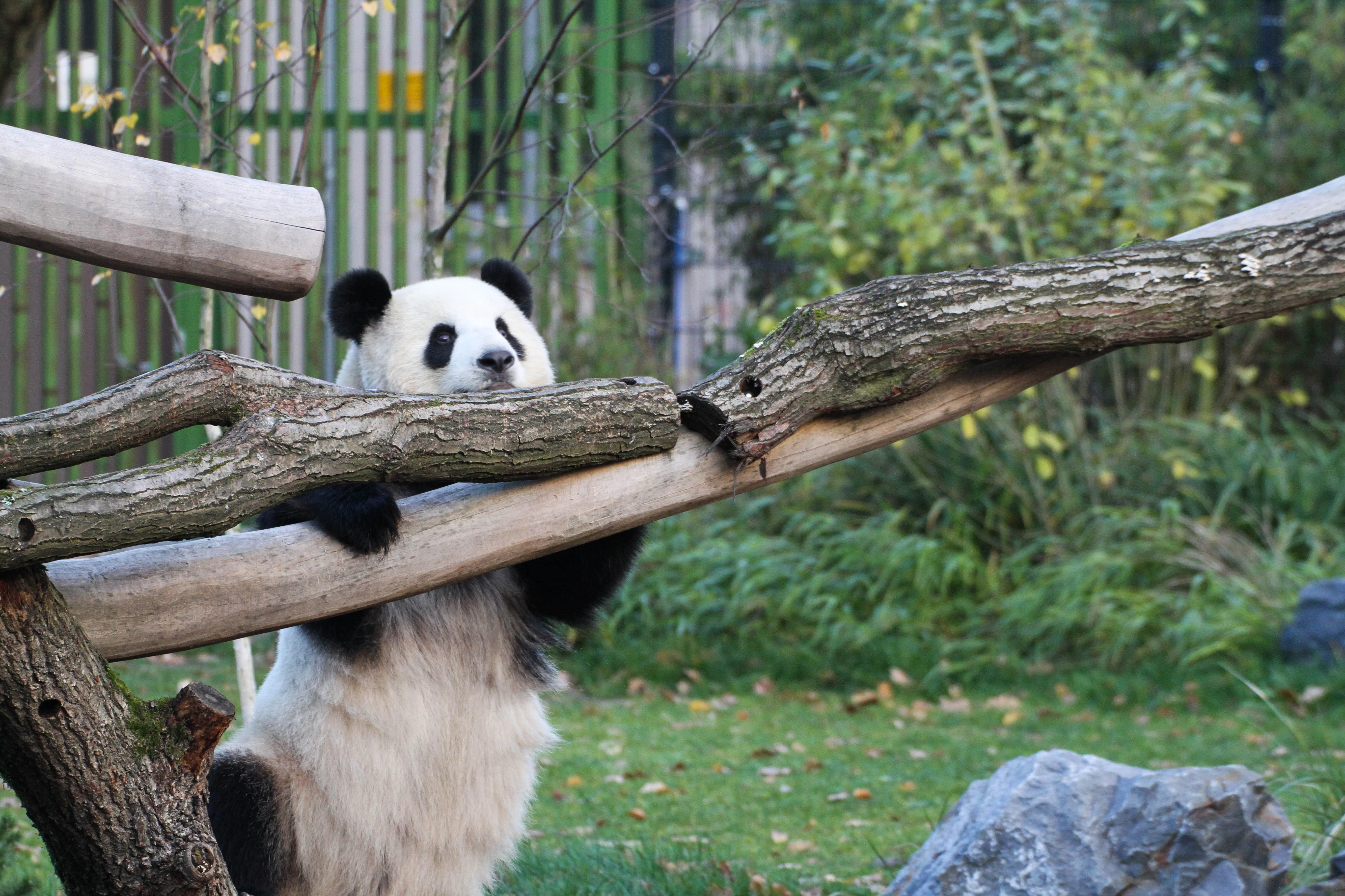 Zoo Berlin