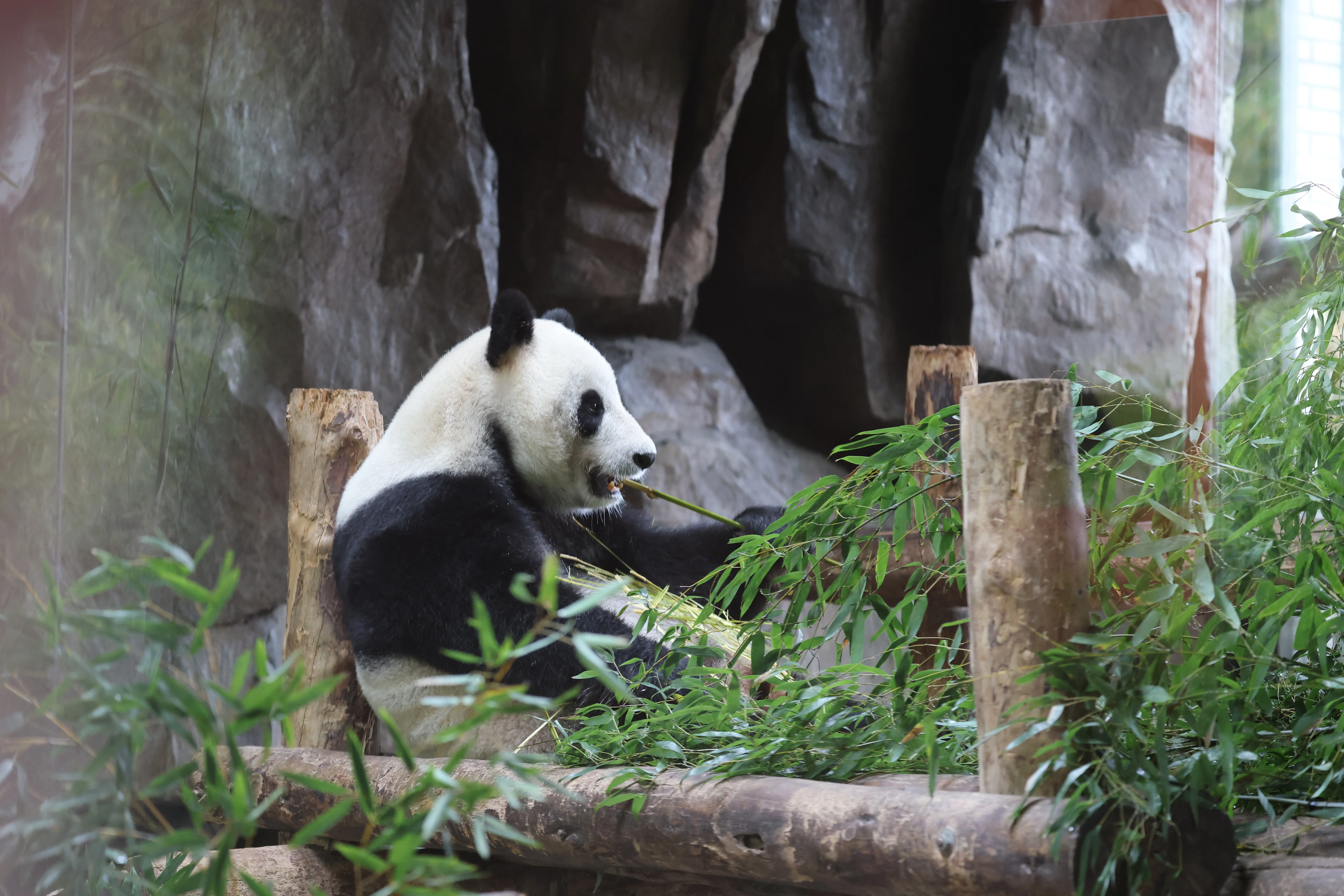 Shanghai Wild Animal Park