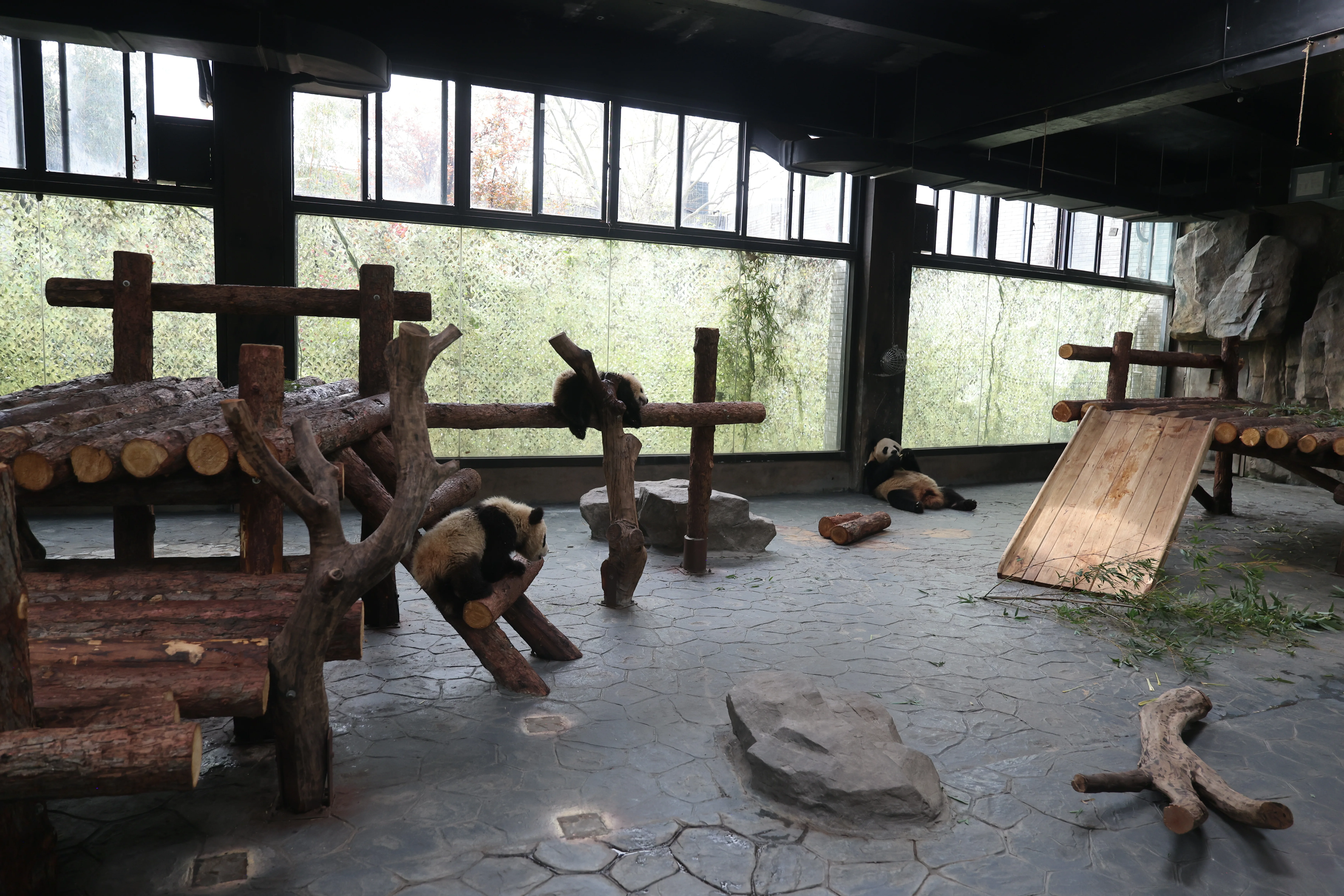 Shanghai Wild Animal Park