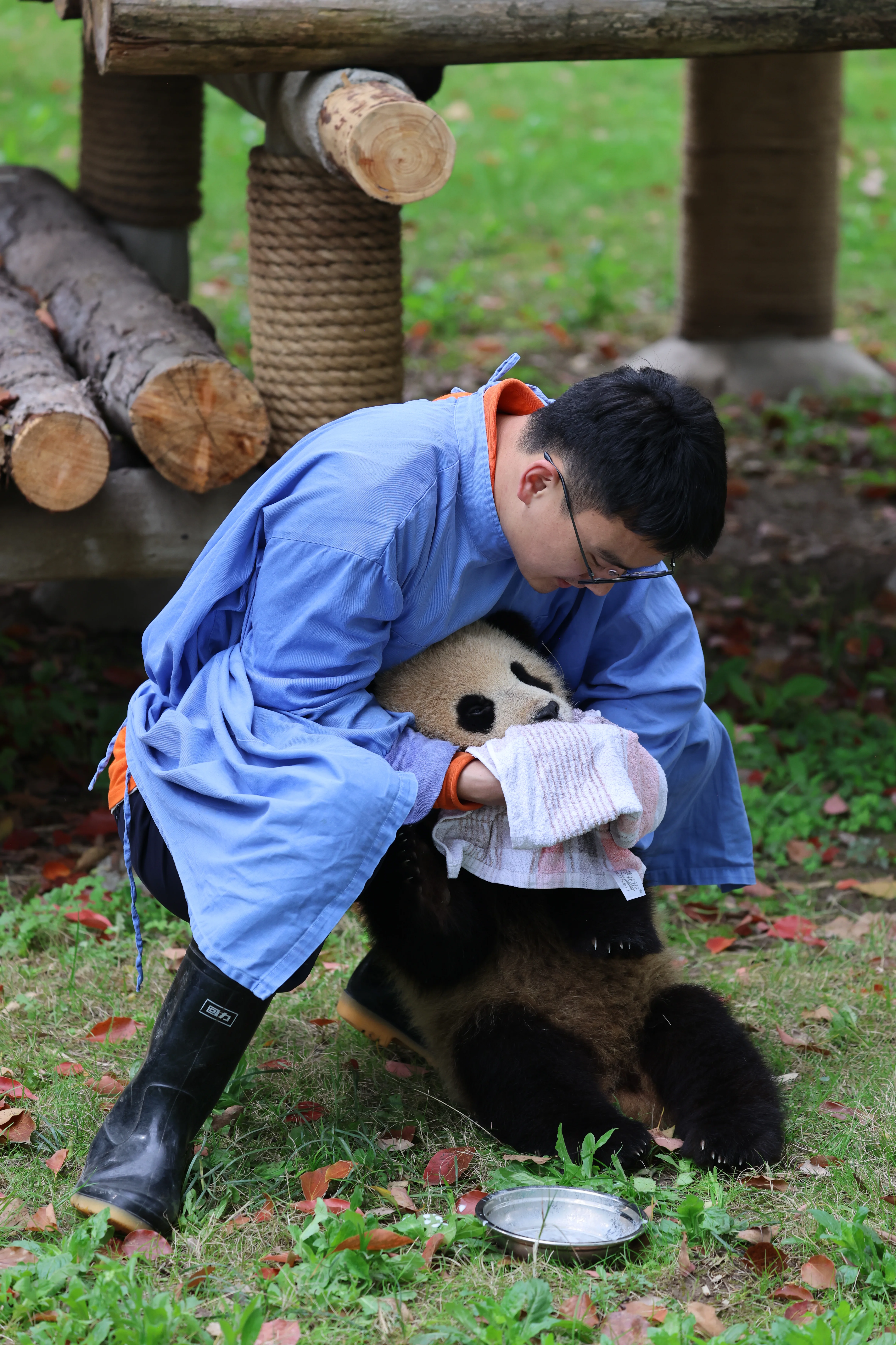 Shanghai Wild Animal Park