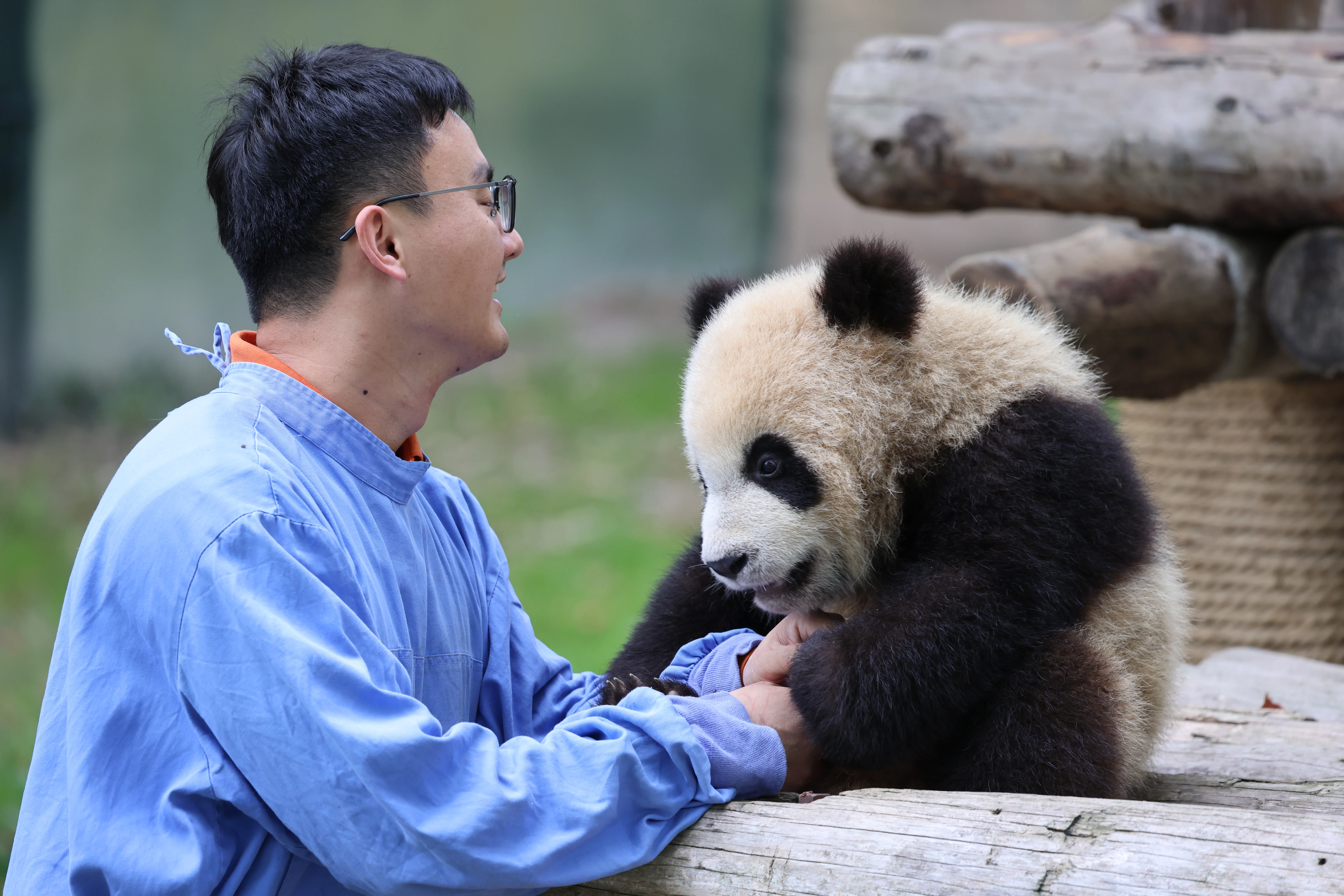 Shanghai Wild Animal Park