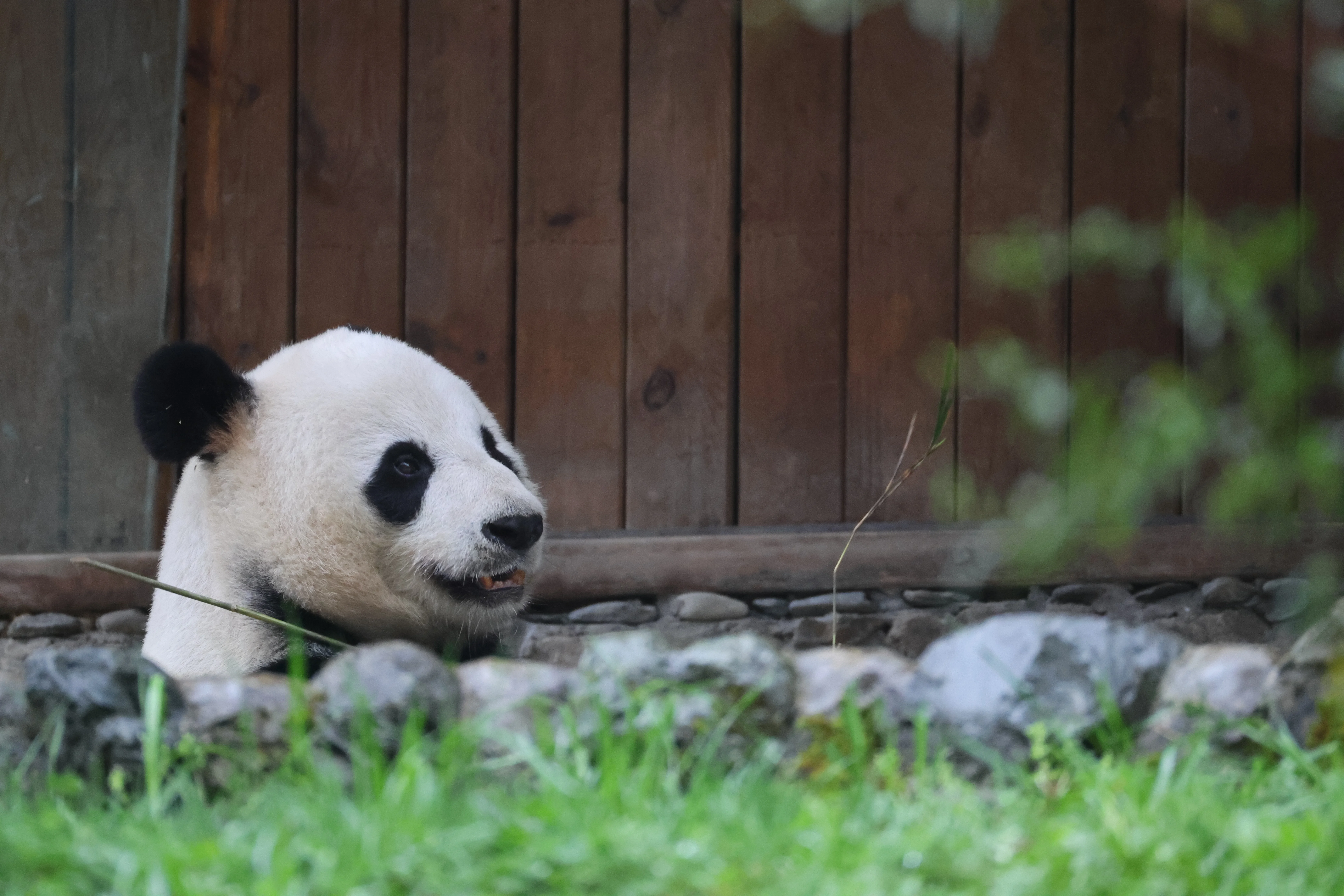 Guanmenshan Scenic Area
