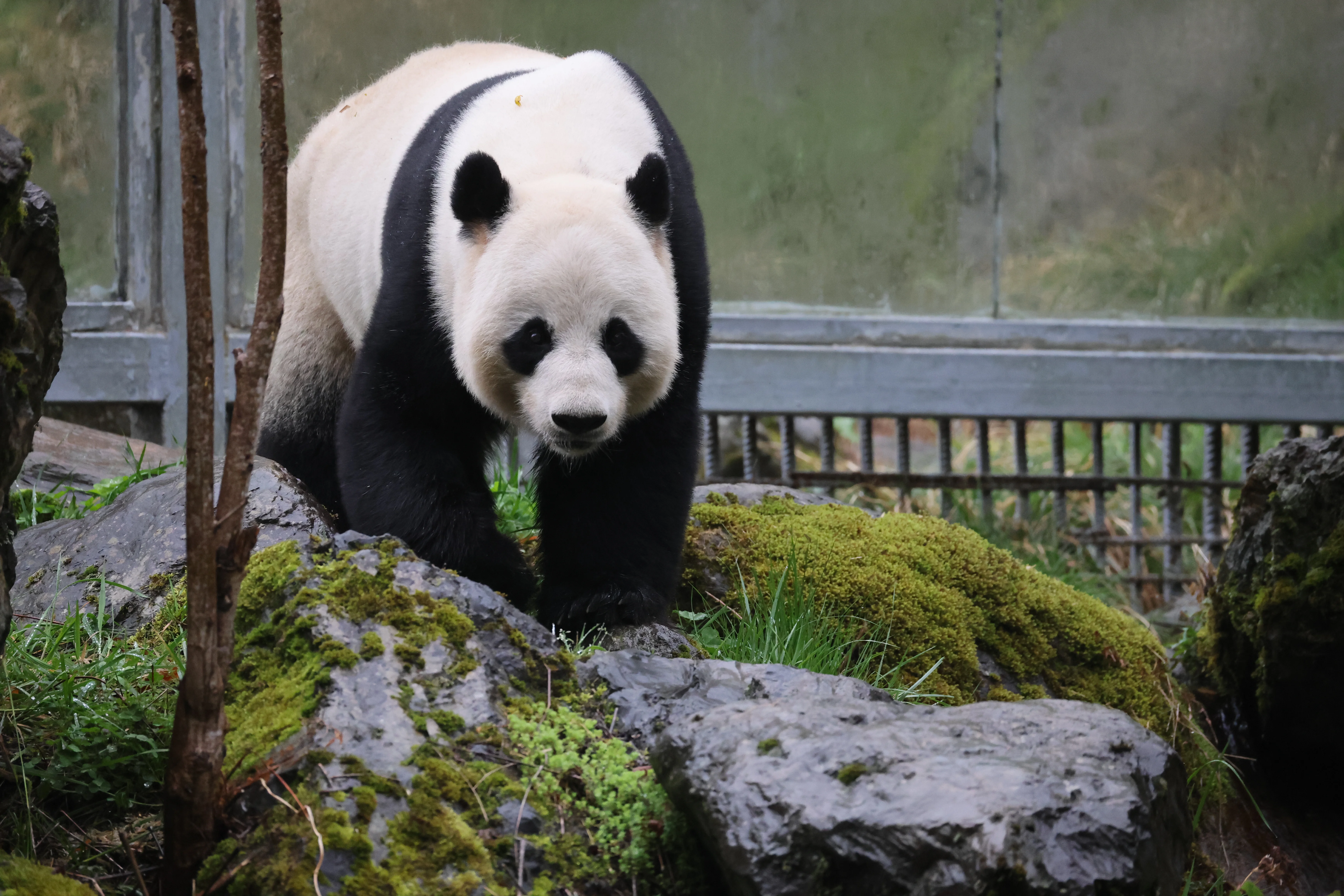 Guanmenshan Scenic Area