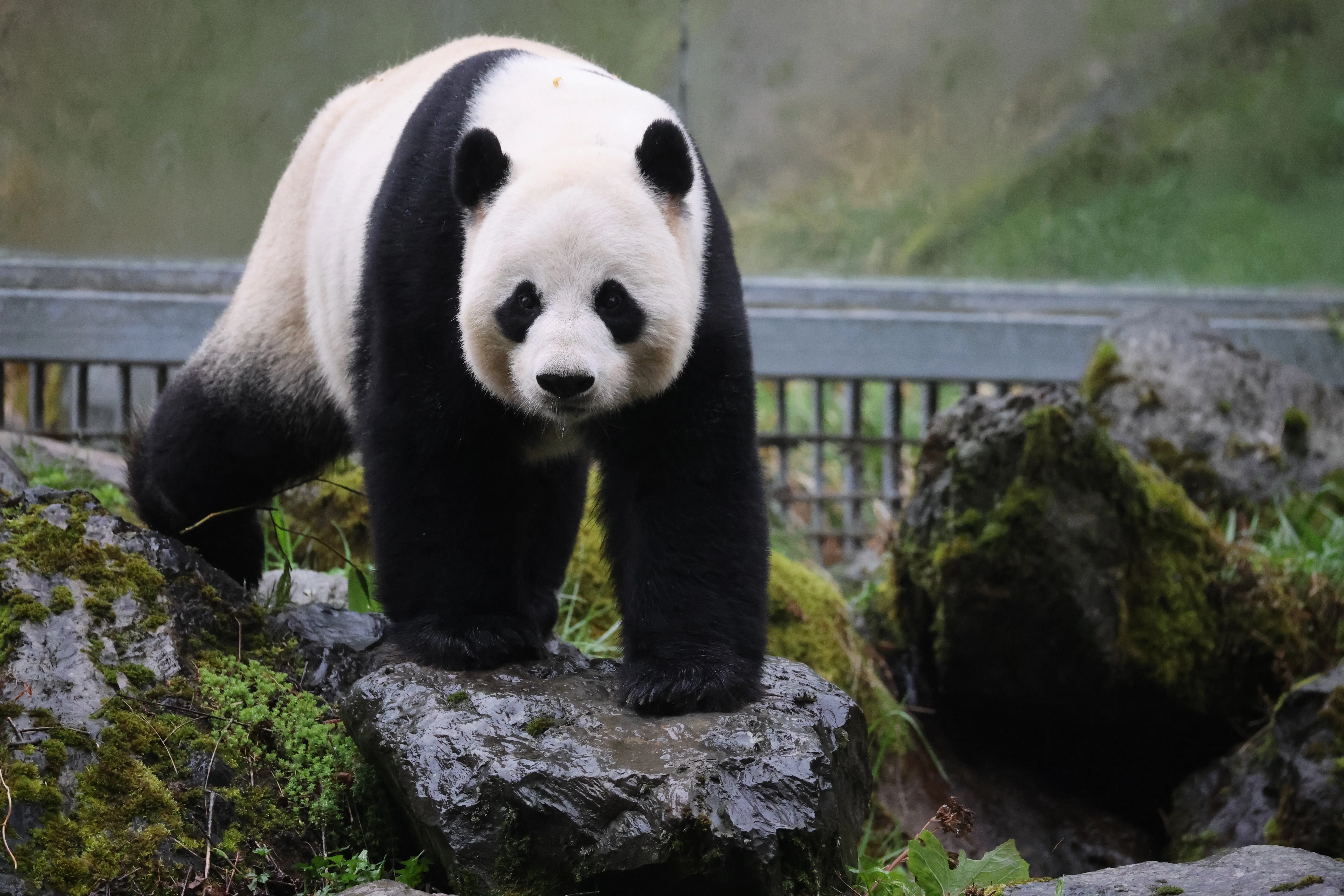 Guanmenshan Scenic Area