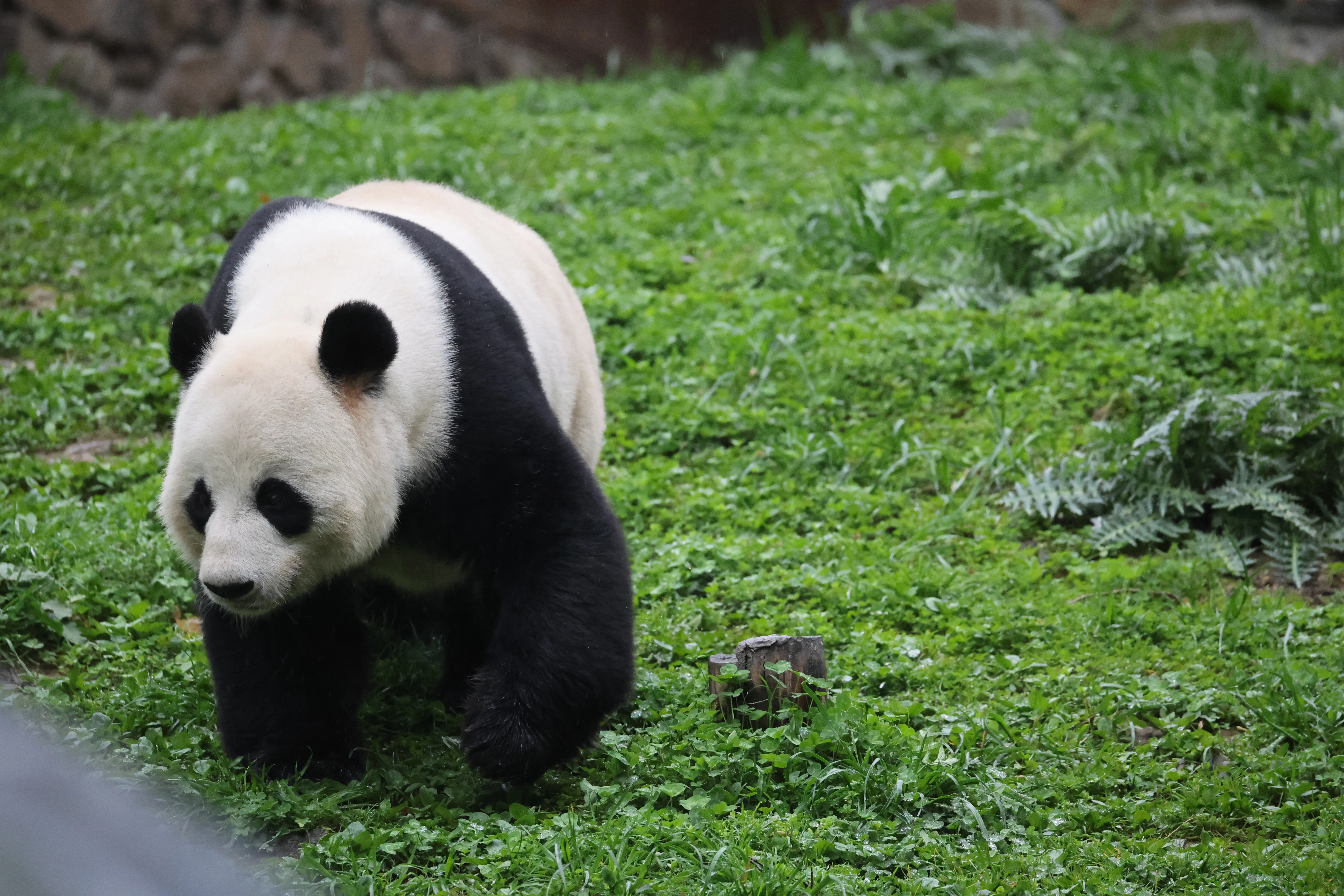 Guanmenshan Scenic Area