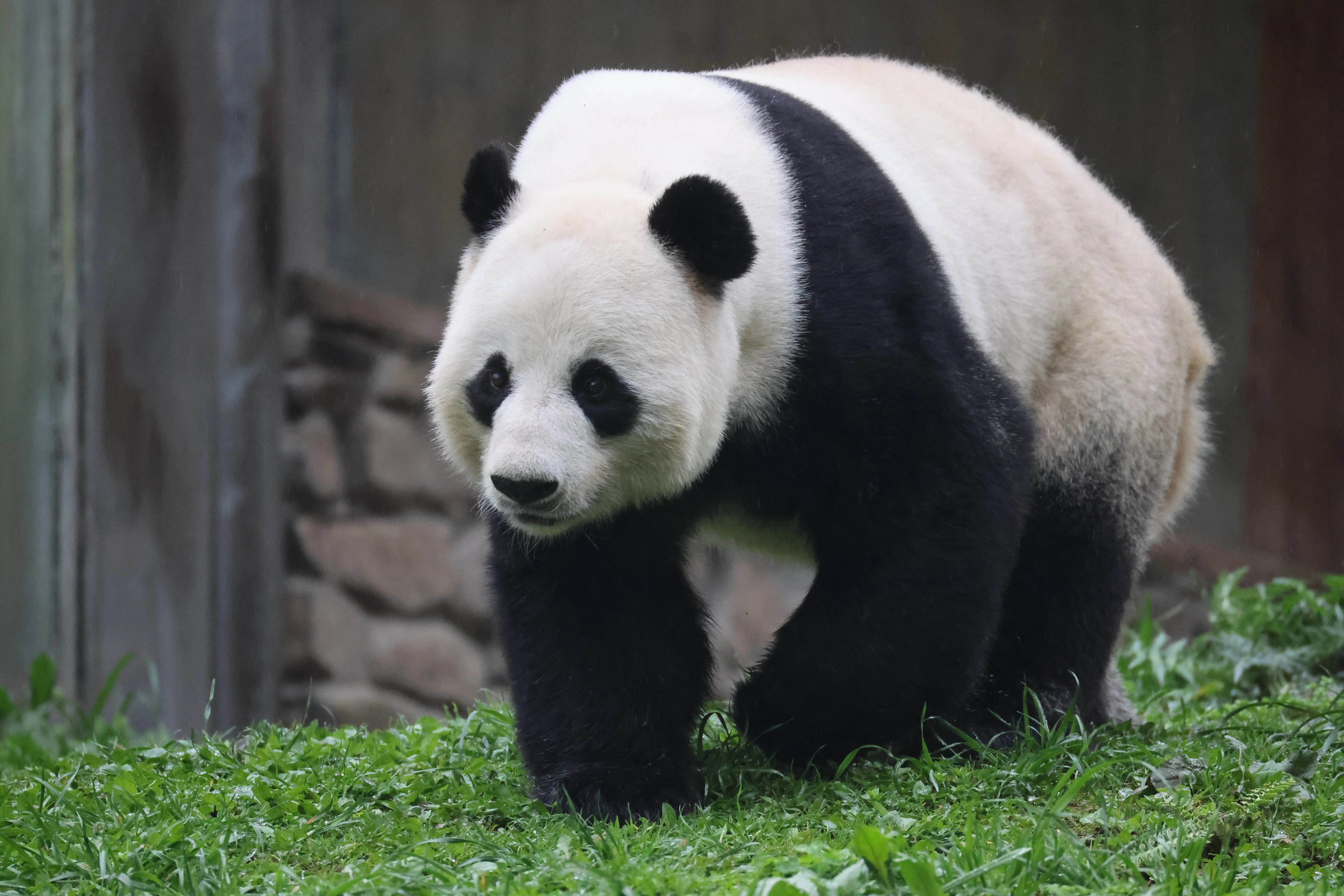 Guanmenshan Scenic Area