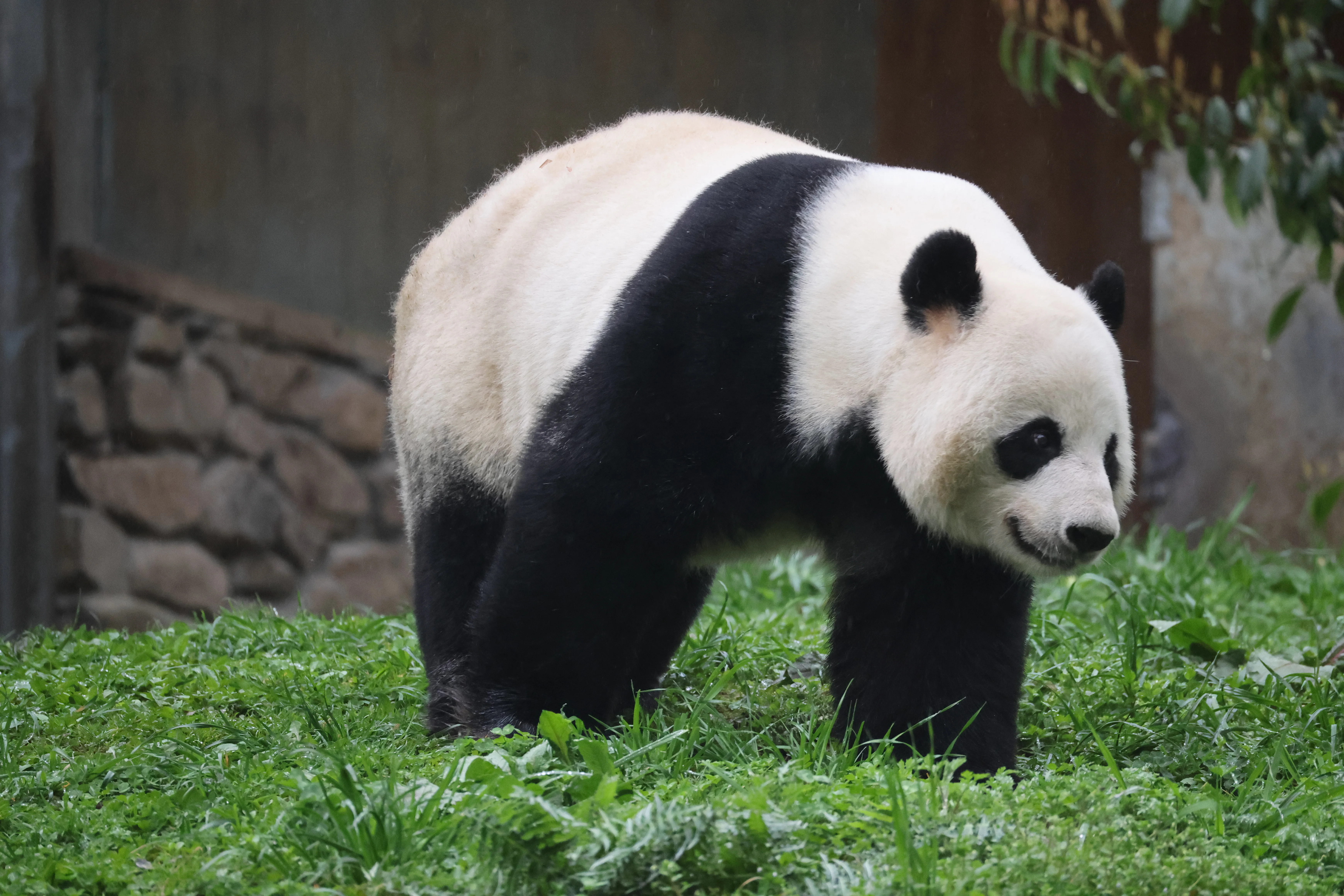 Guanmenshan Scenic Area