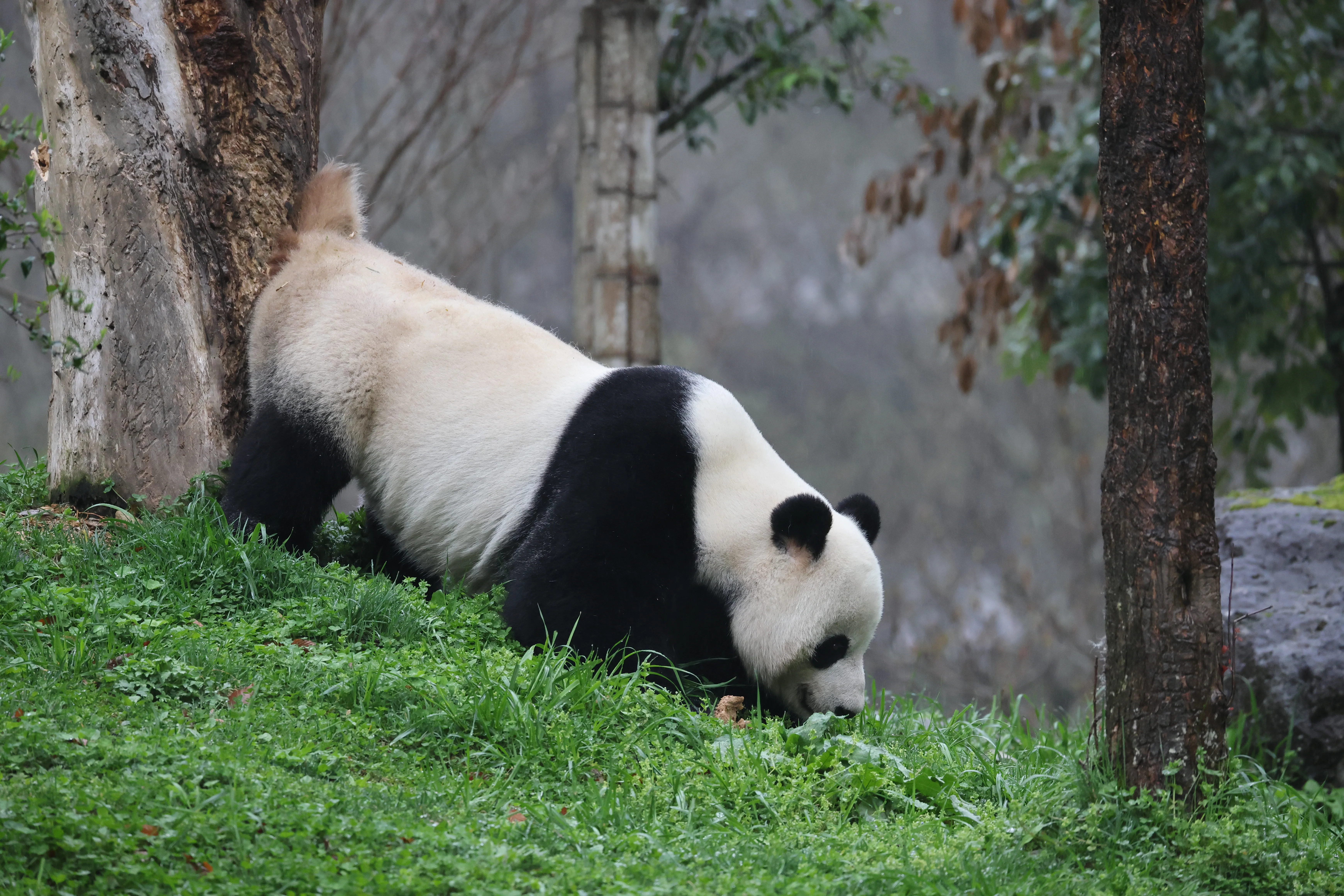 Guanmenshan Scenic Area