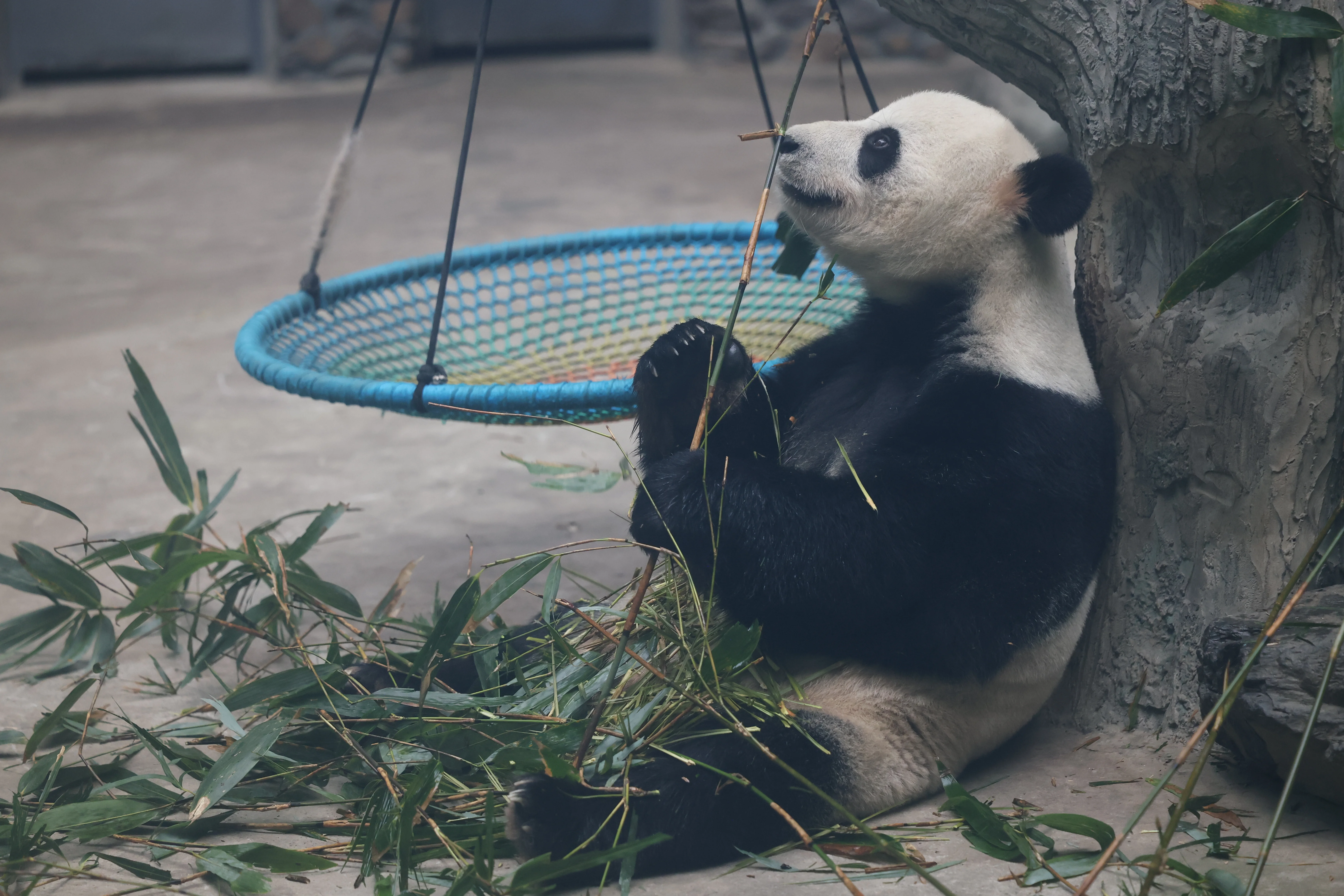 Guanmenshan Scenic Area