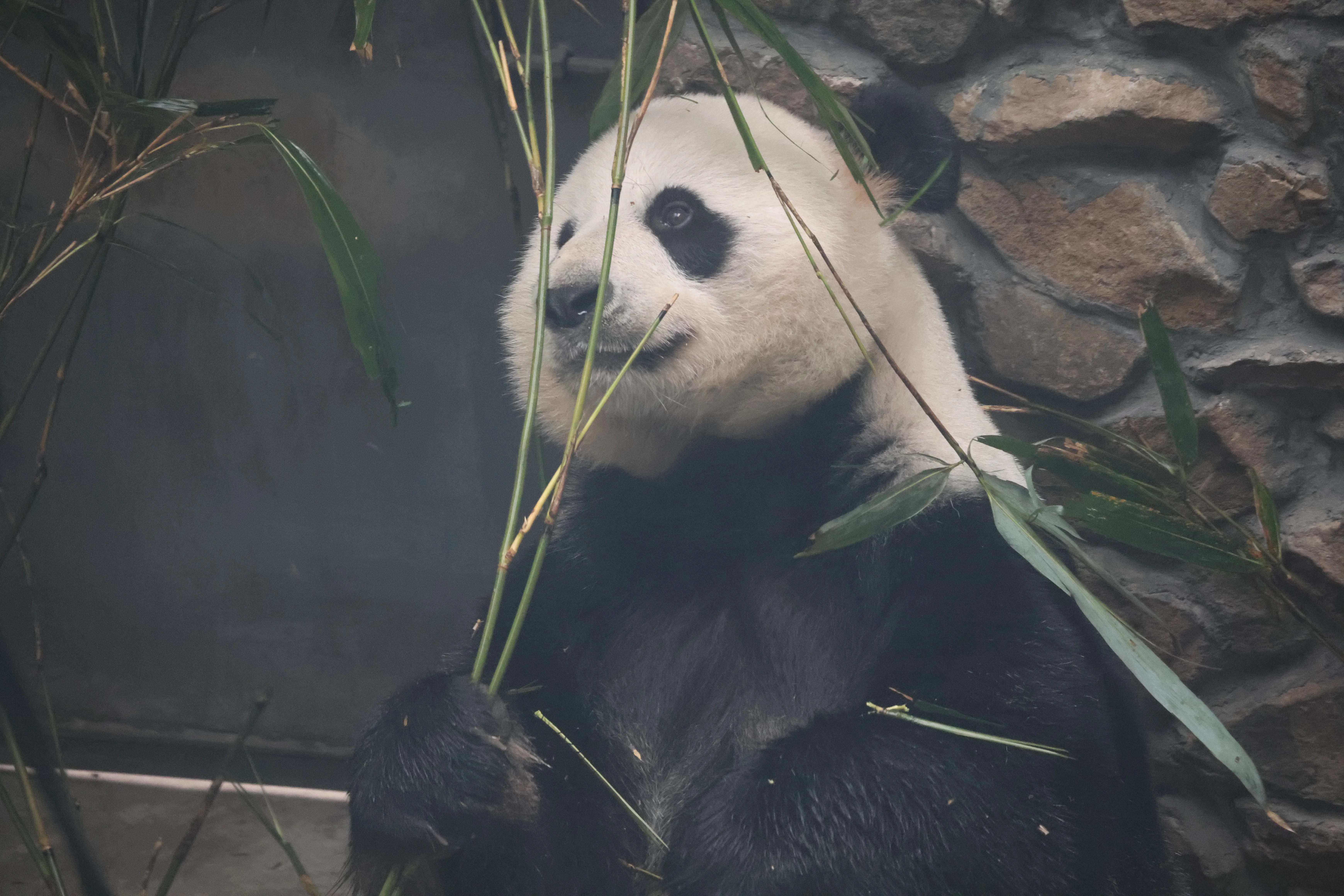 Guanmenshan Scenic Area