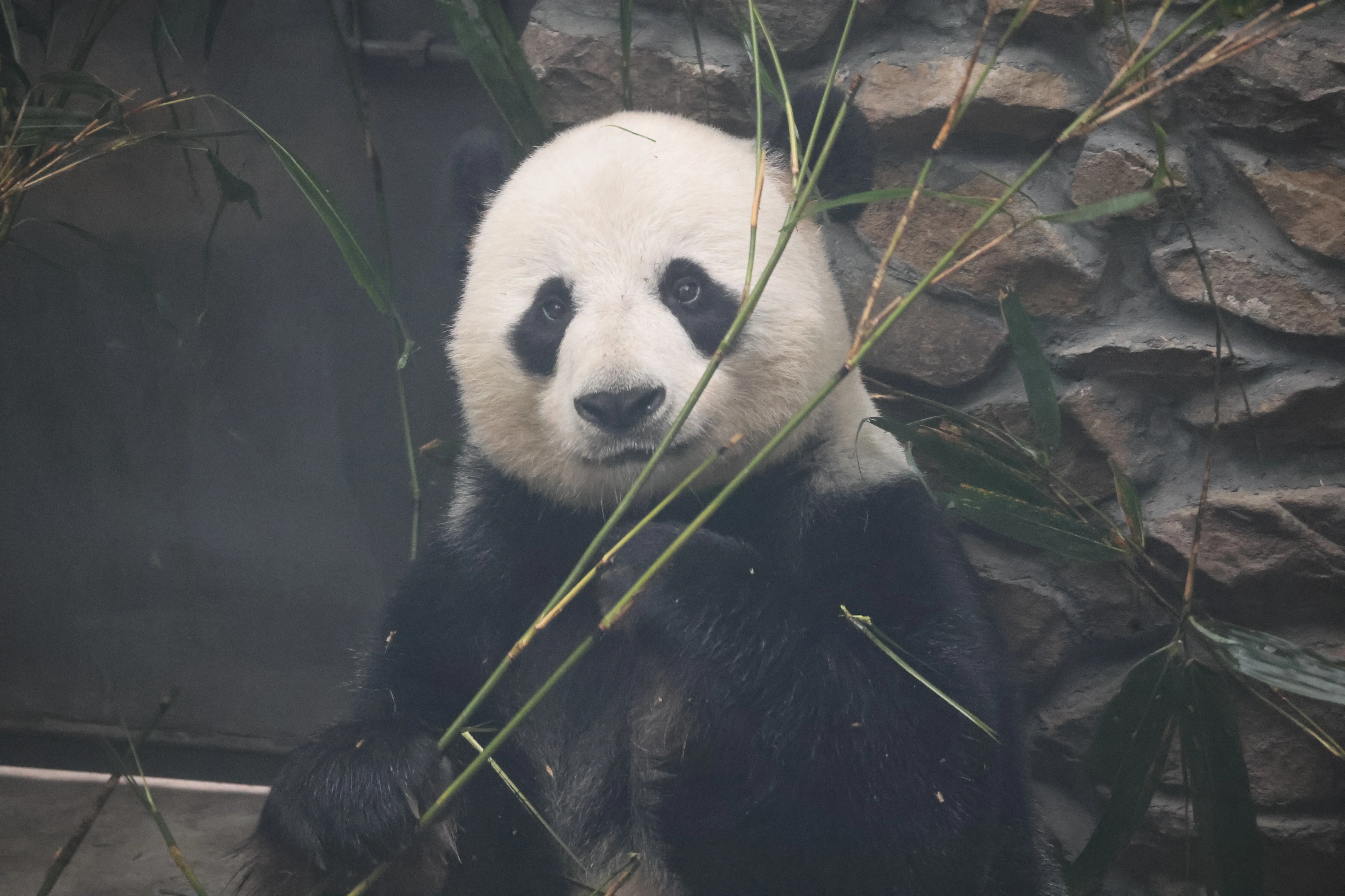 Guanmenshan Scenic Area