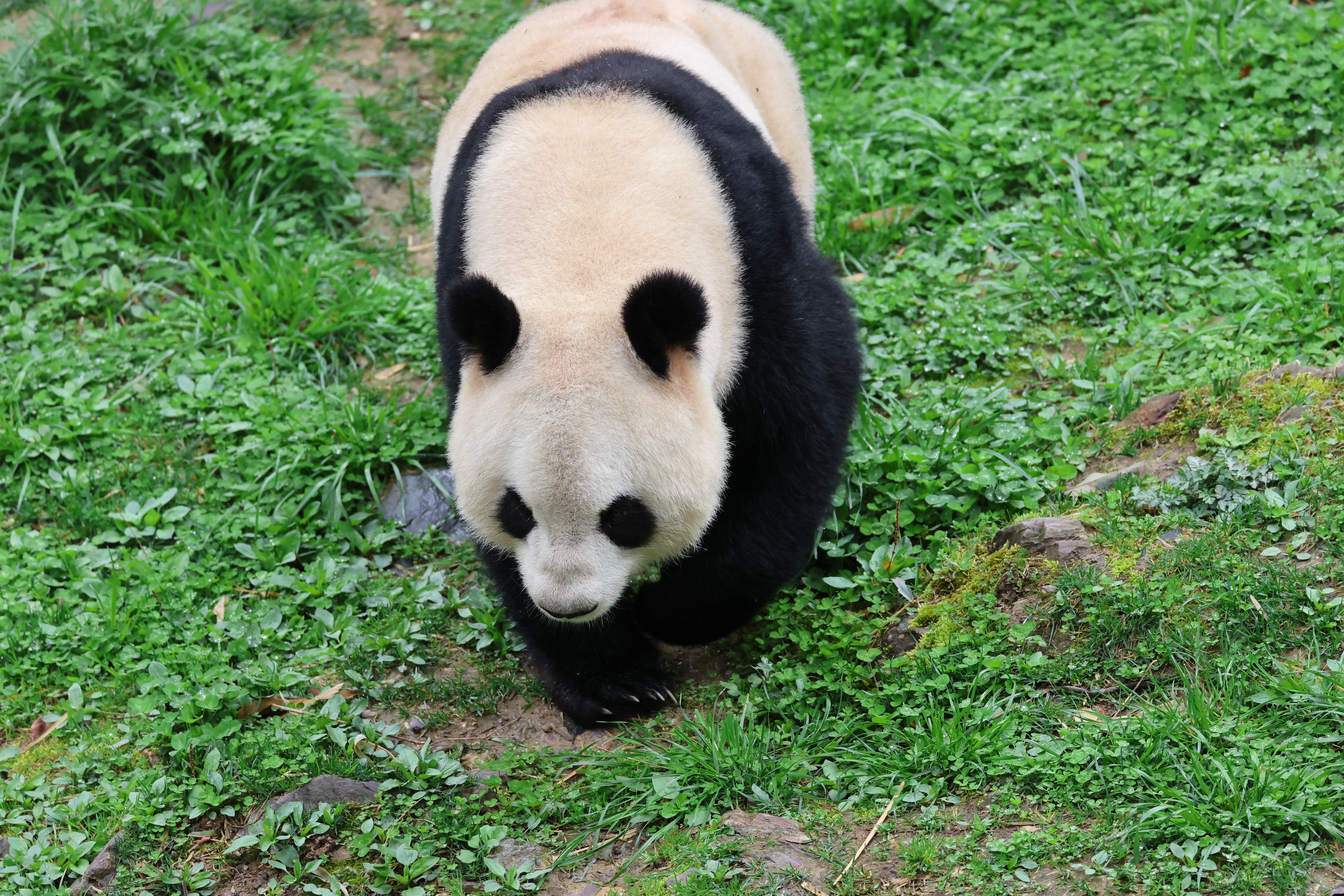 Guanmenshan Scenic Area