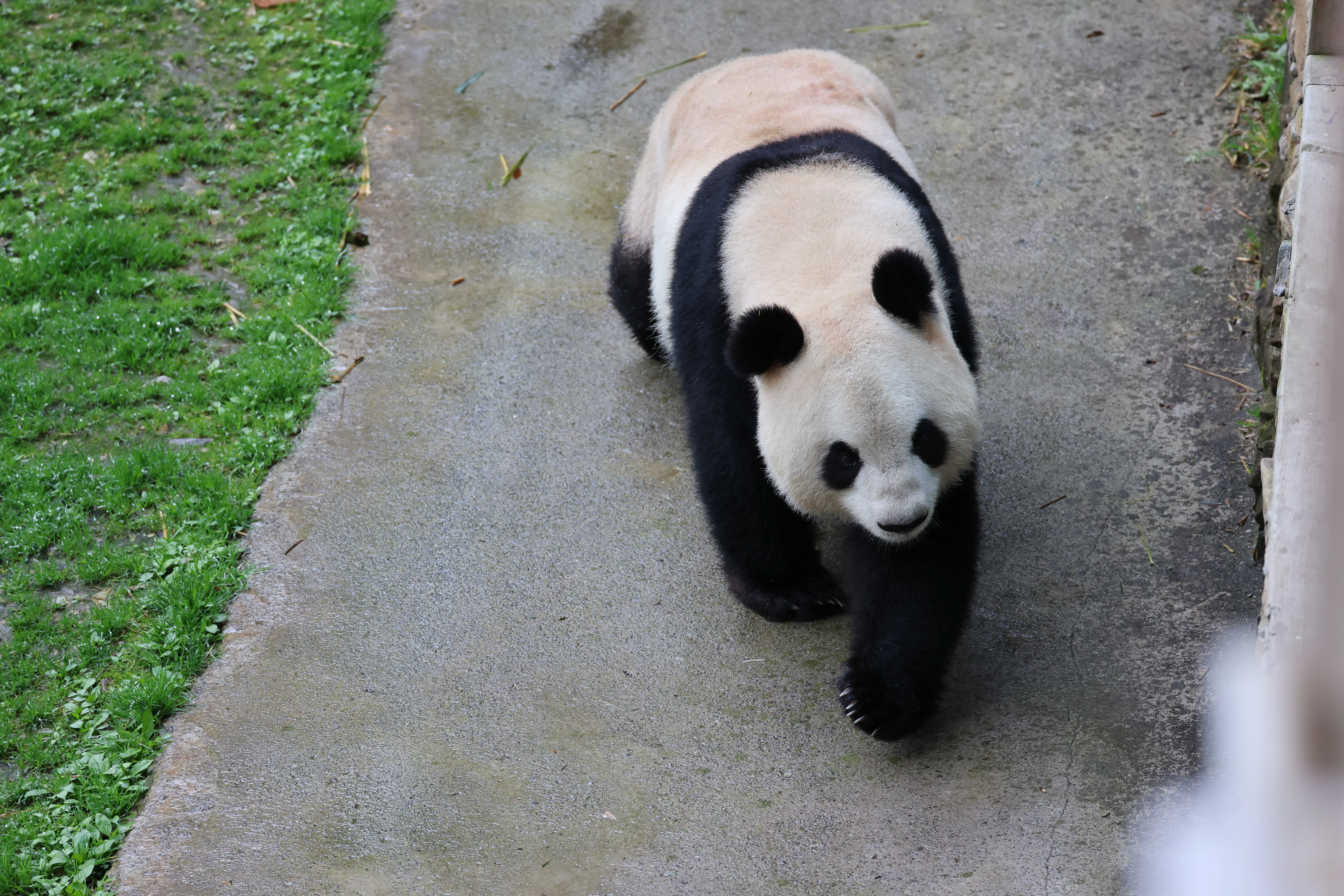 Guanmenshan Scenic Area