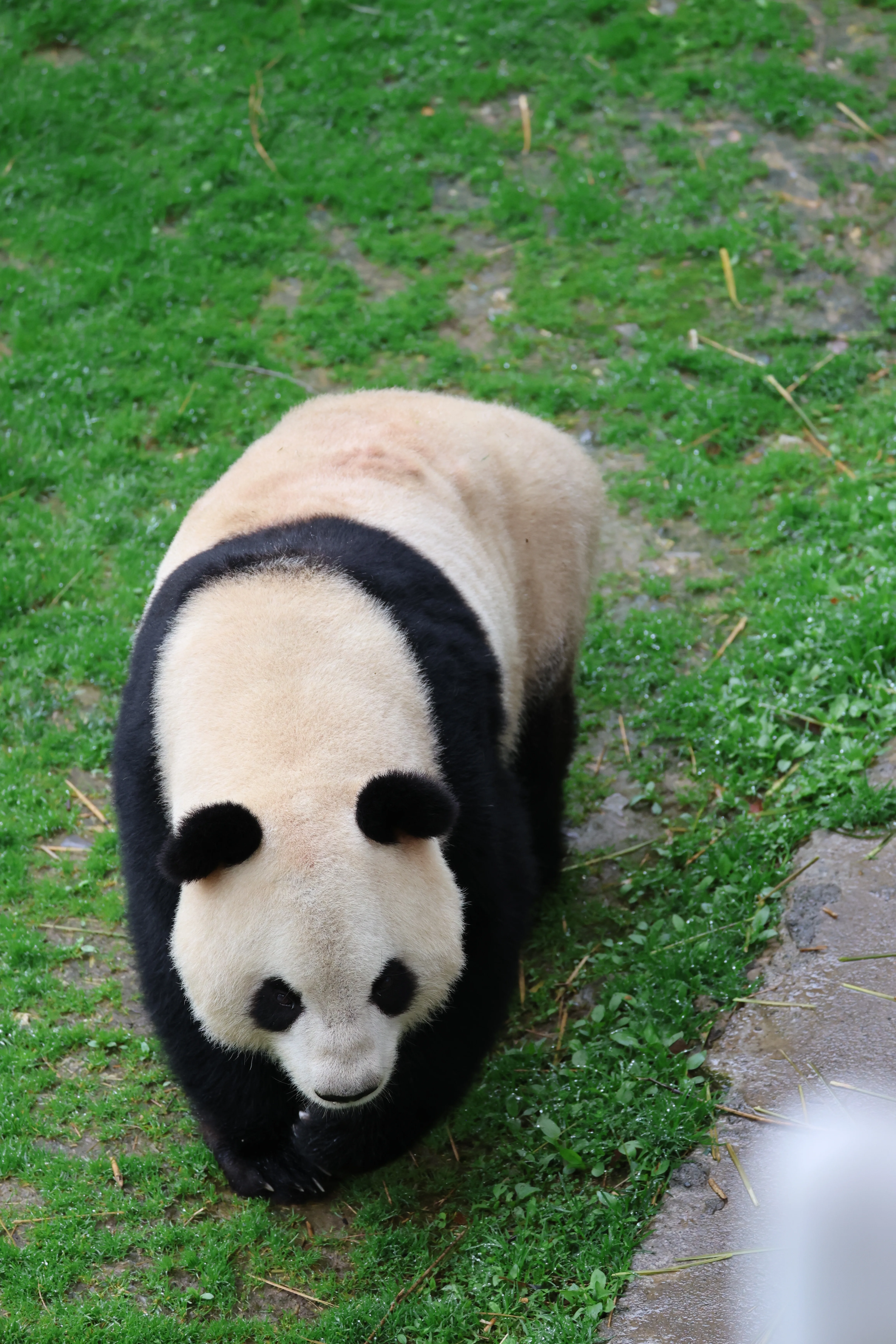 Guanmenshan Scenic Area