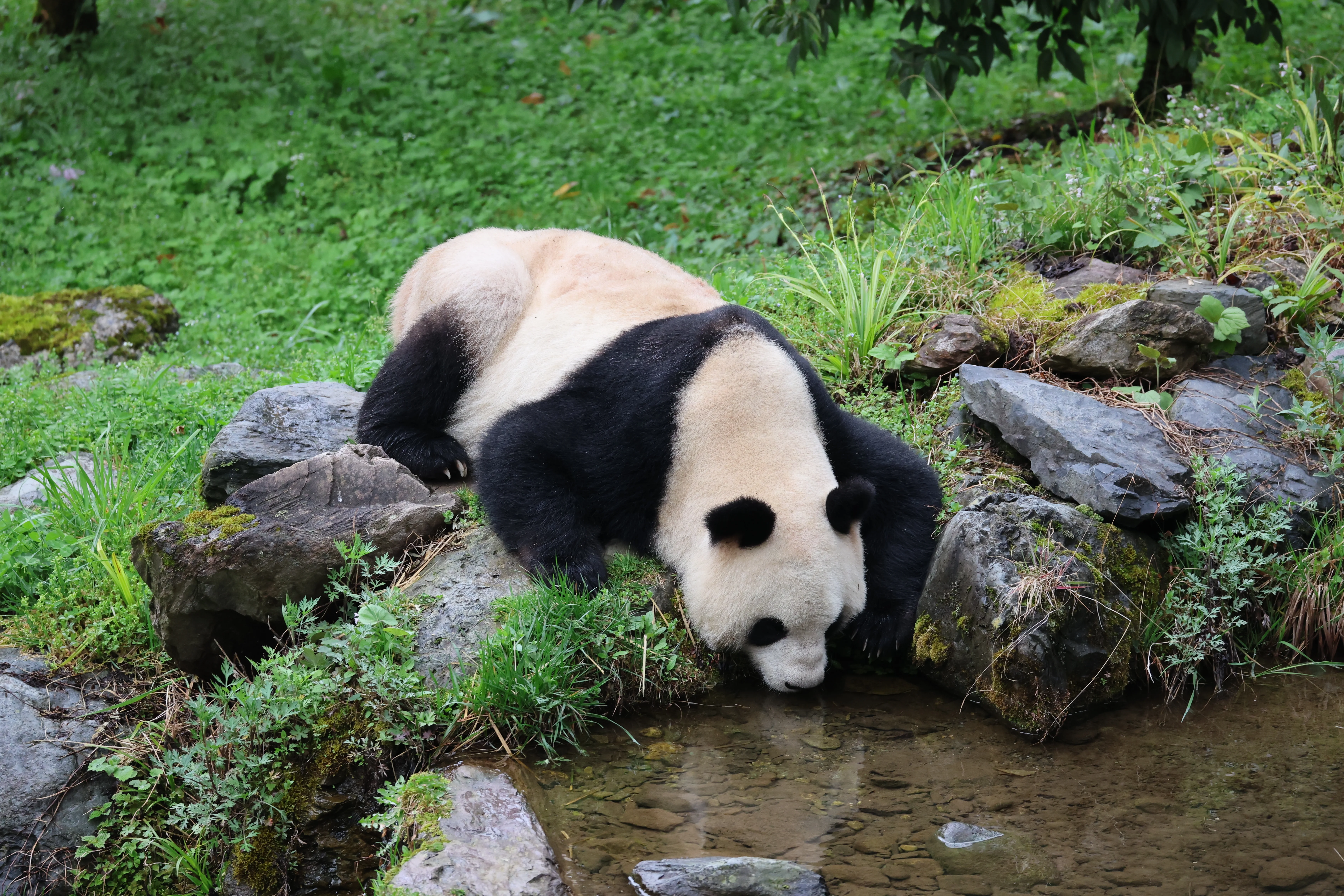 Guanmenshan Scenic Area