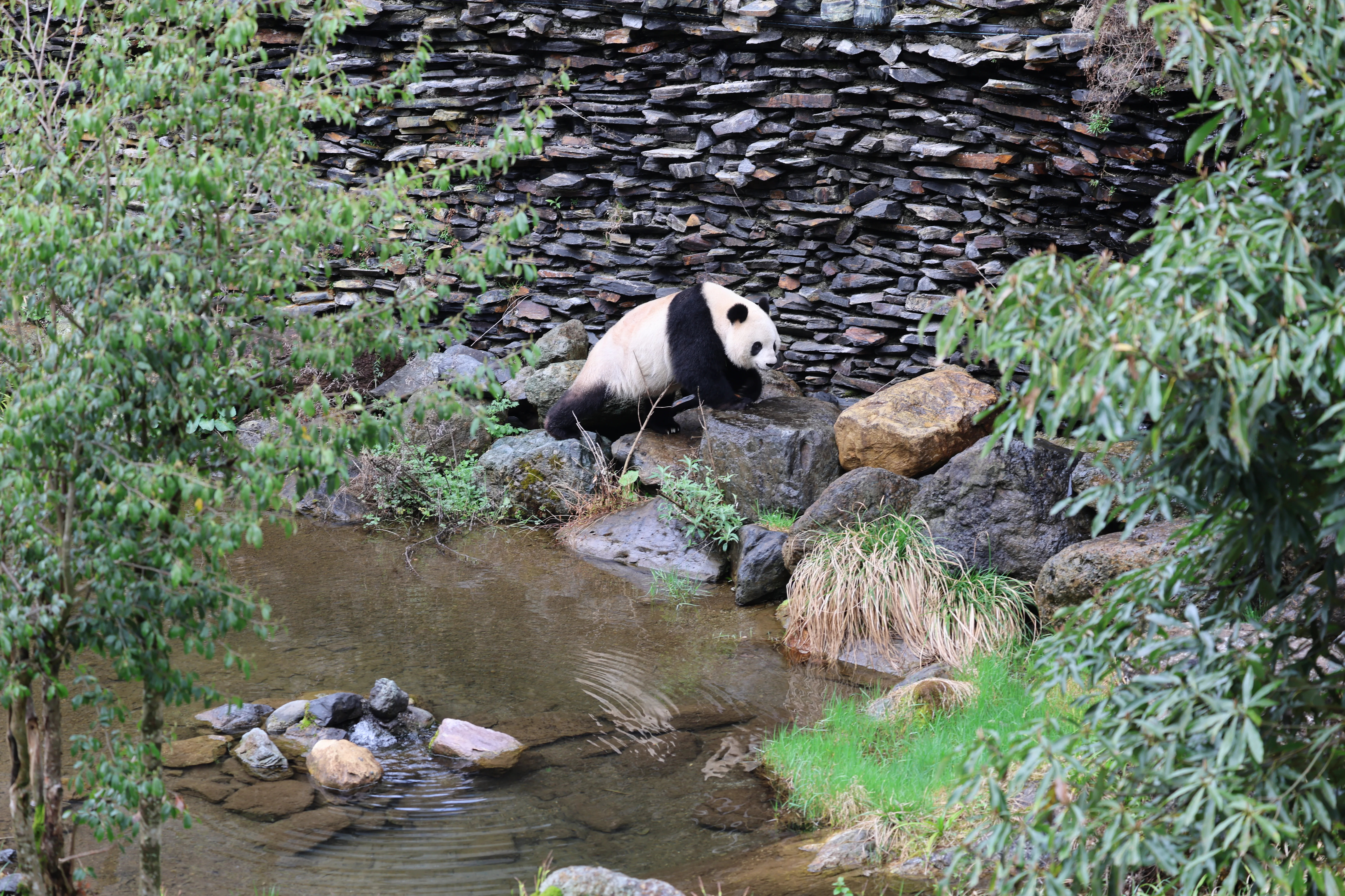 Guanmenshan Scenic Area