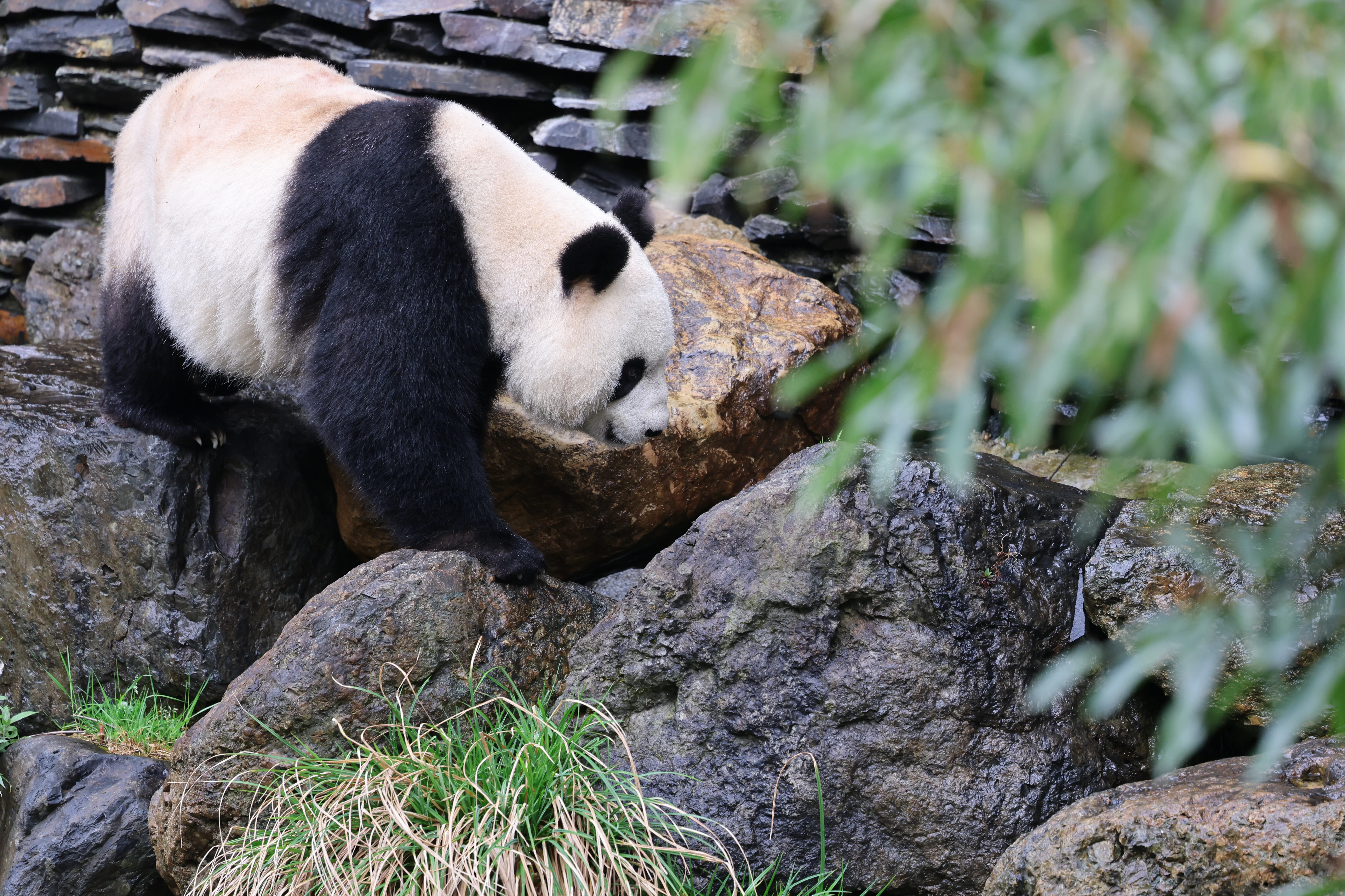 Guanmenshan Scenic Area