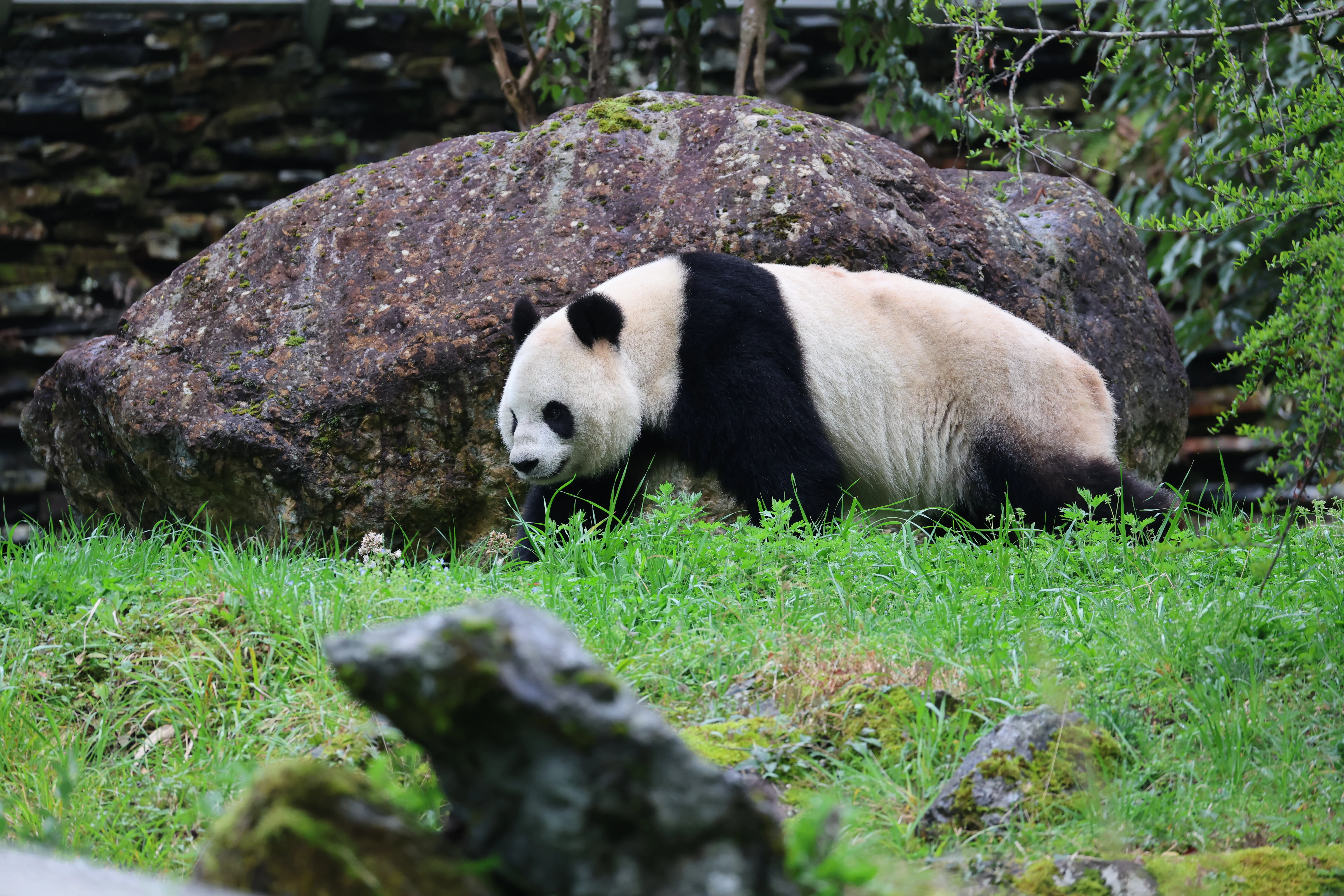 Guanmenshan Scenic Area