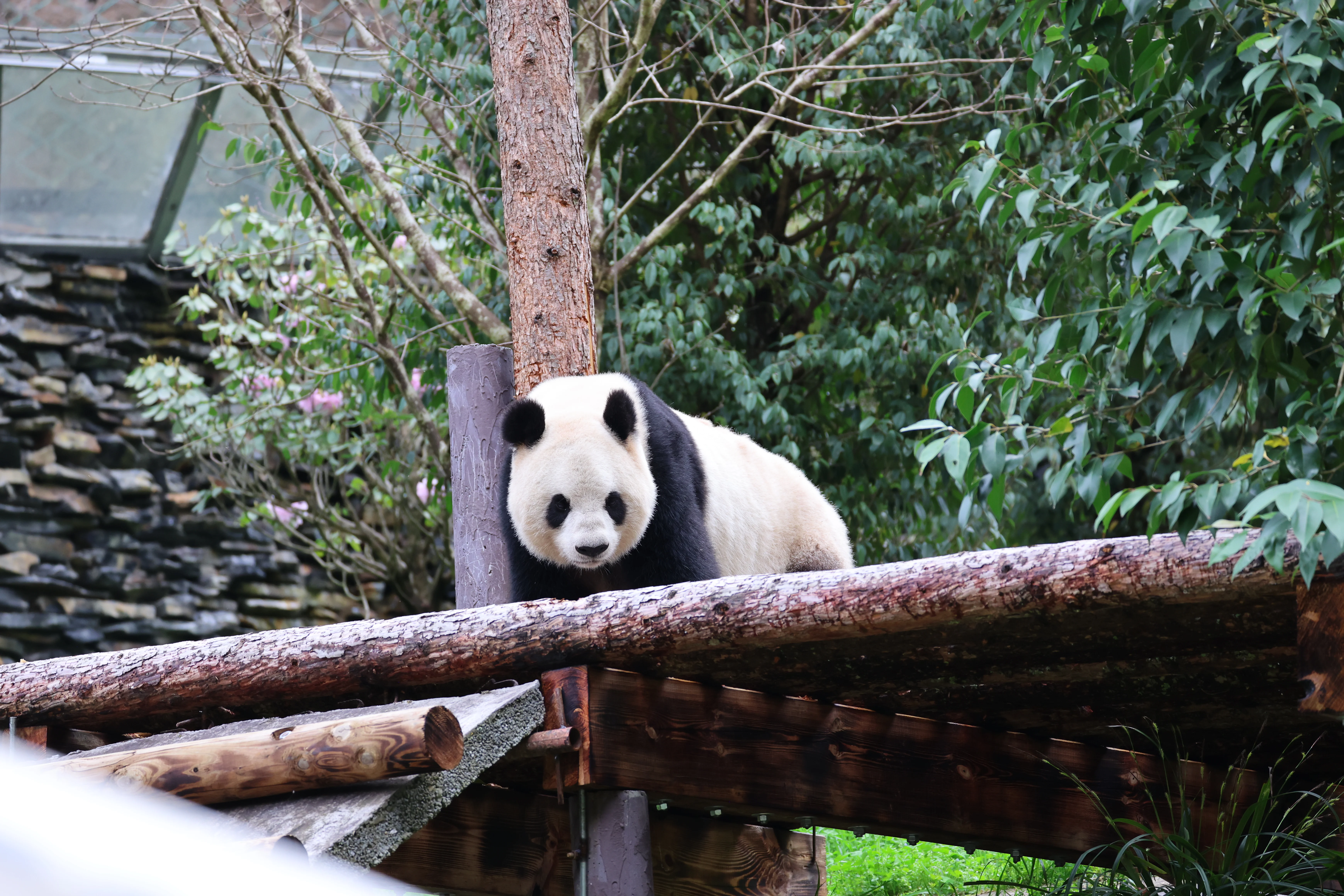 Guanmenshan Scenic Area