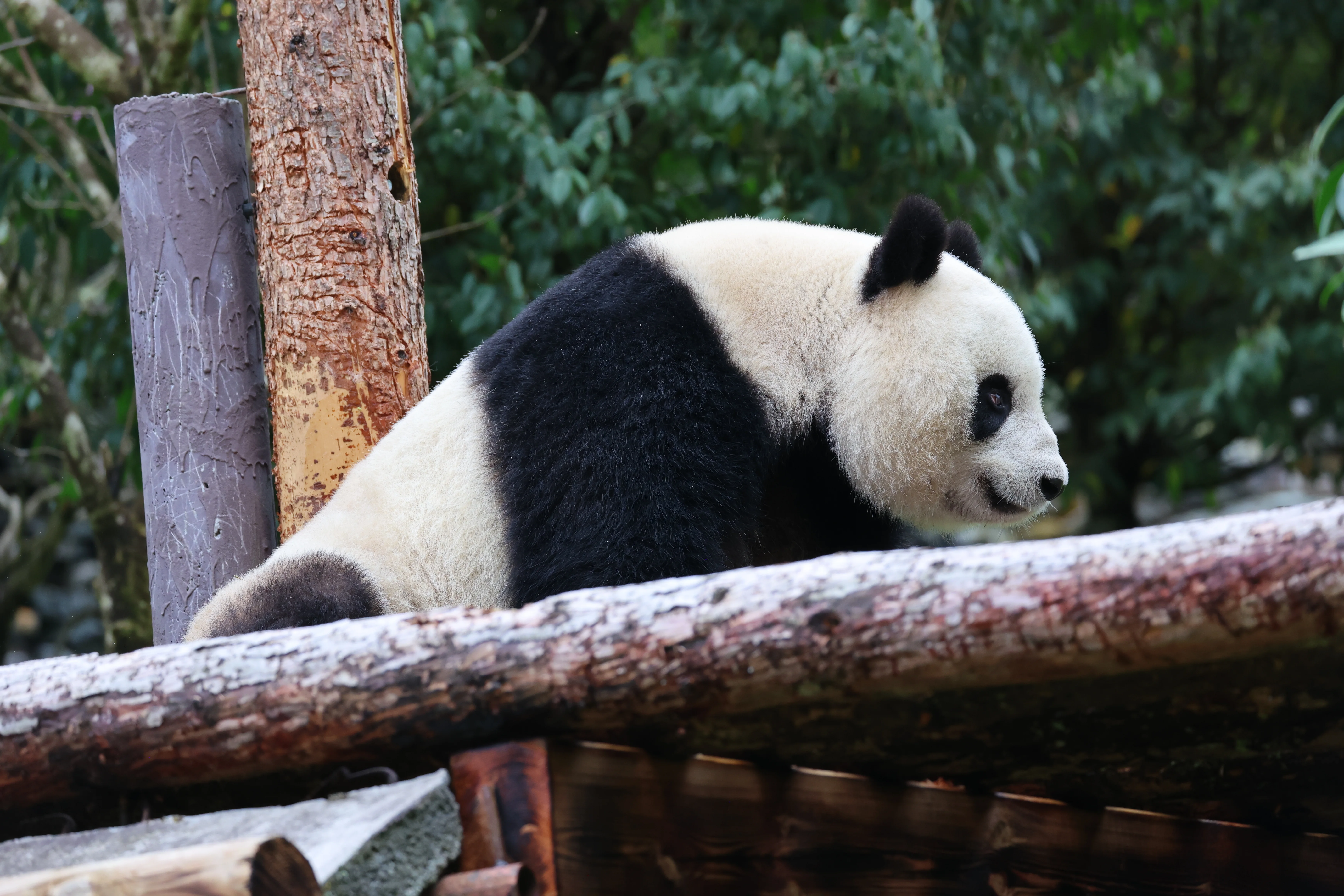 Guanmenshan Scenic Area