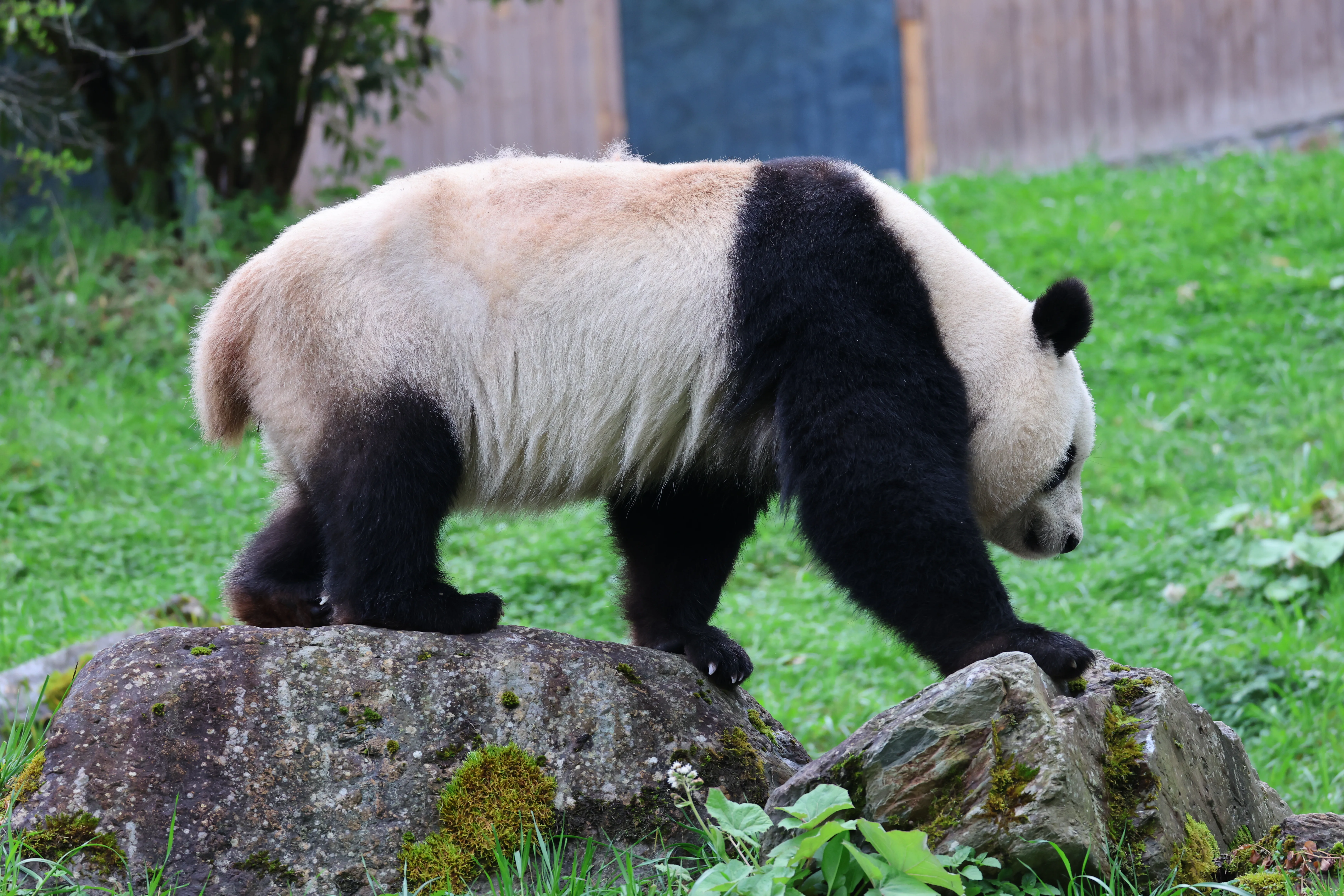 Guanmenshan Scenic Area