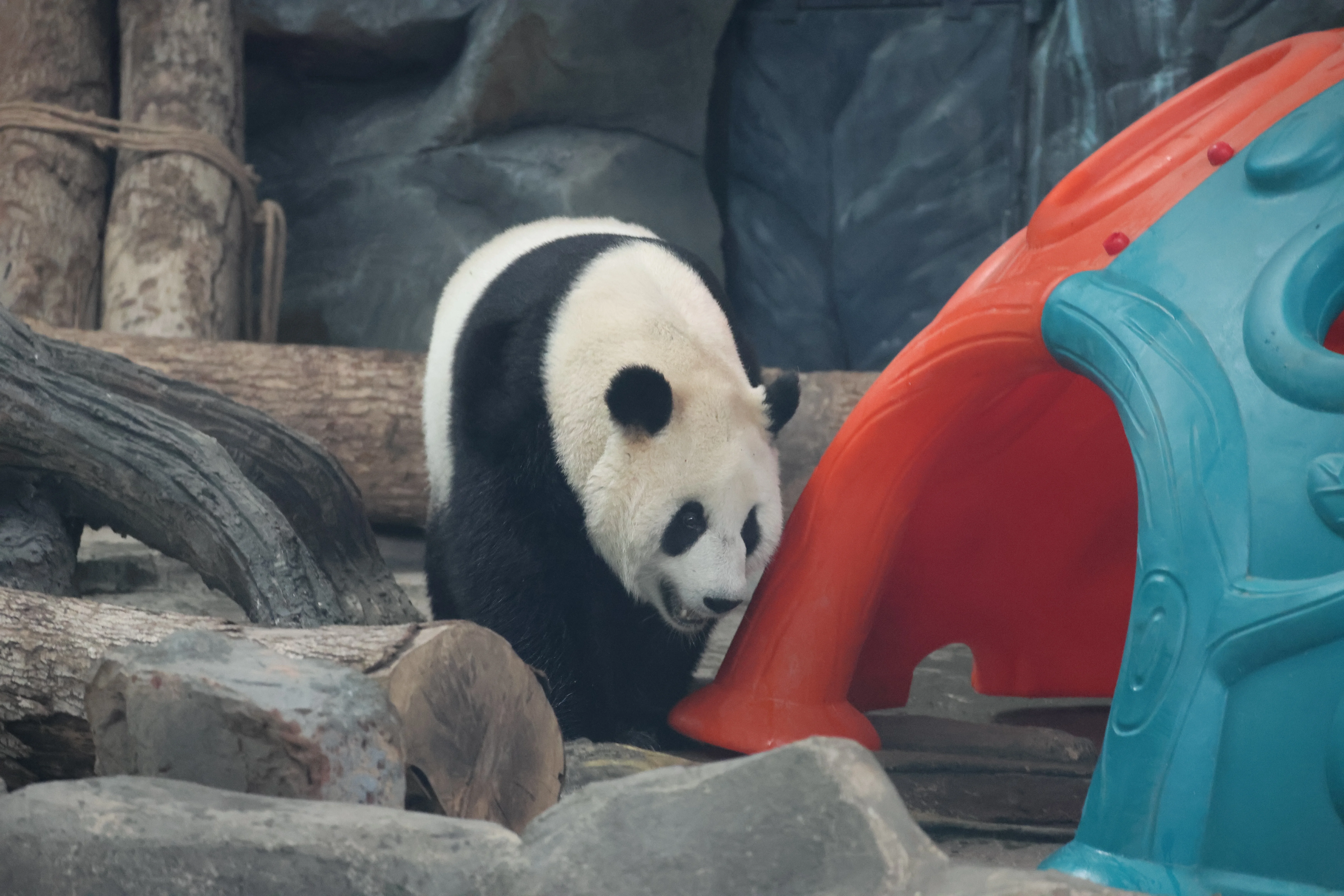 Wuhan Zoo