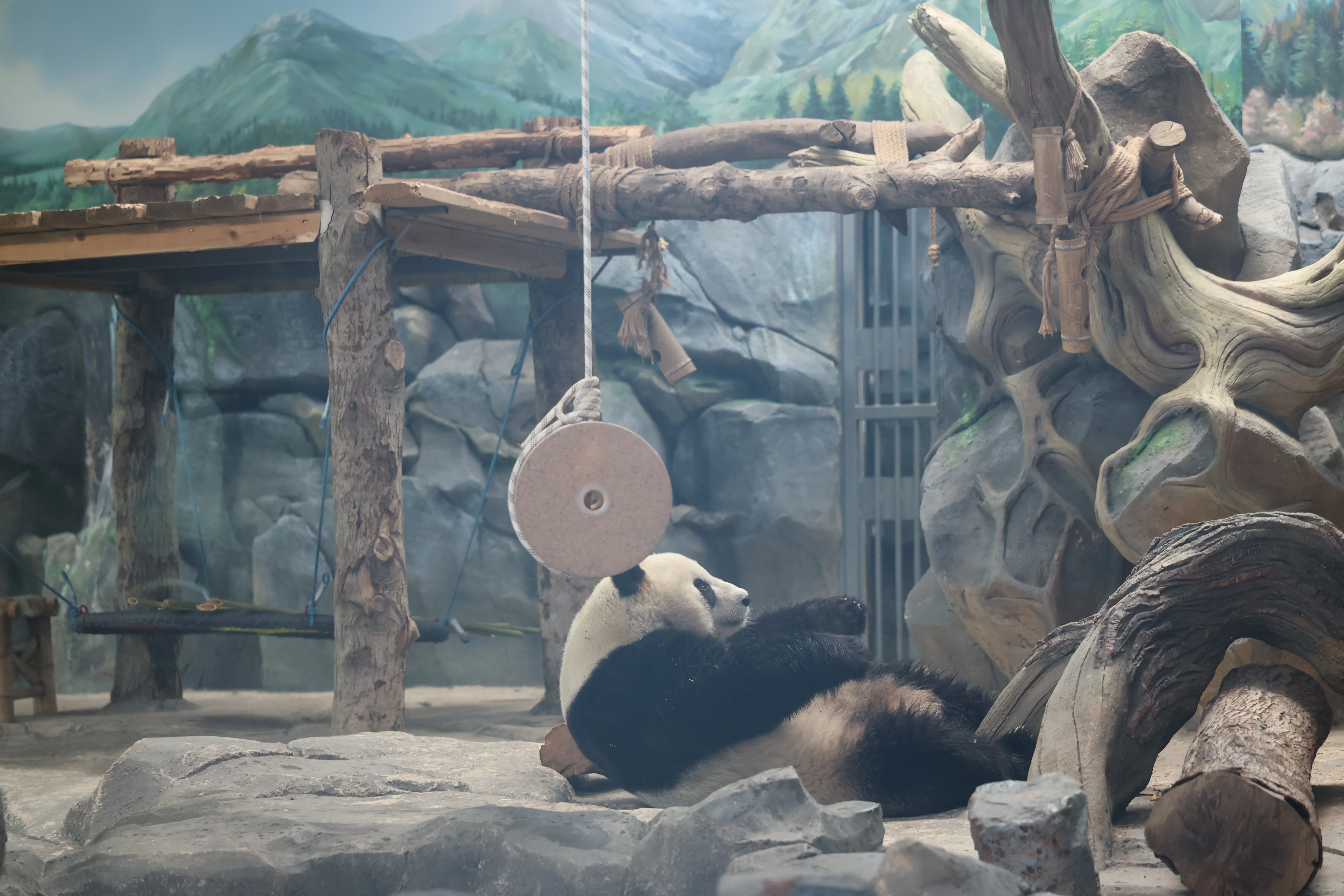 Wuhan Zoo