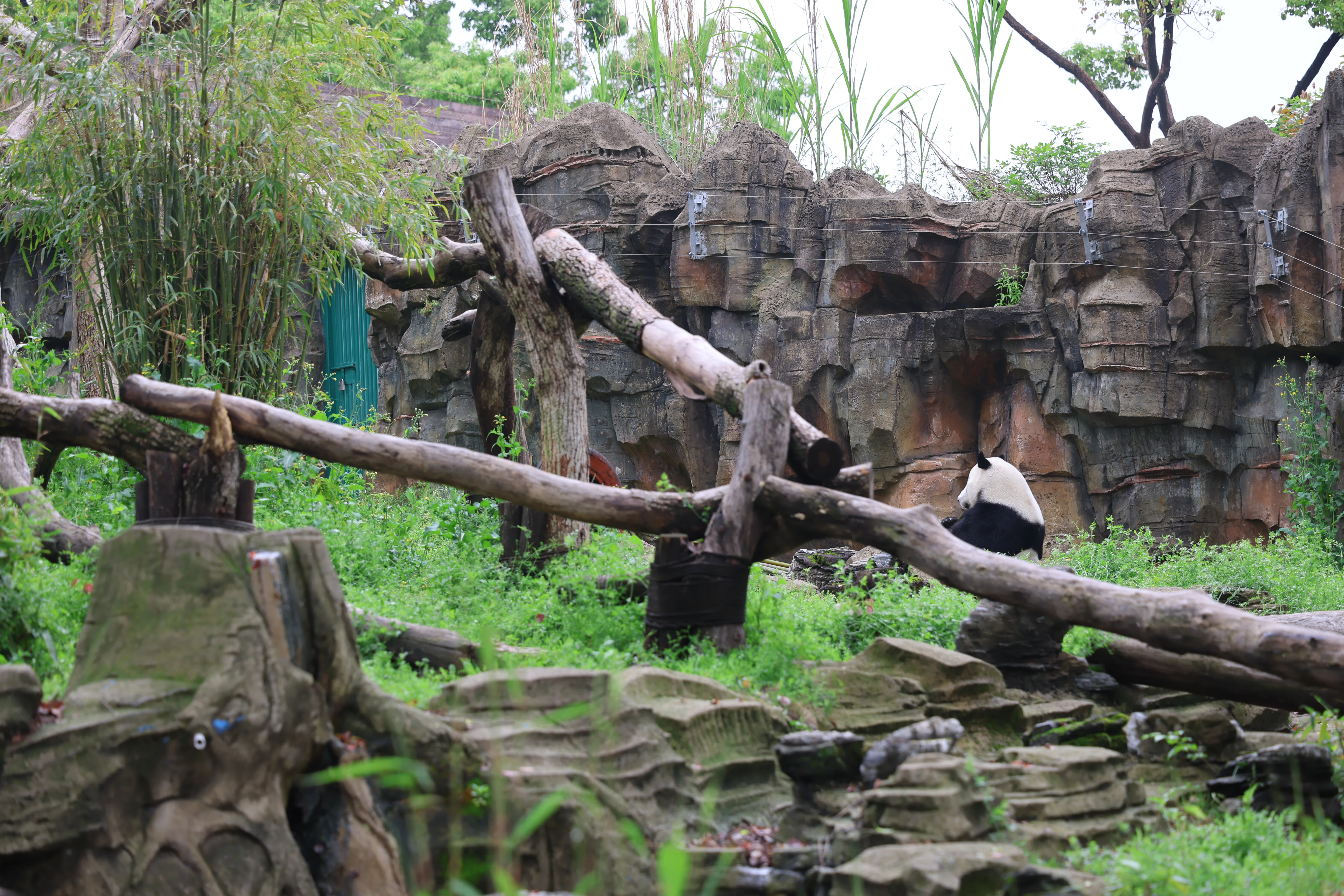 Wuhan Zoo