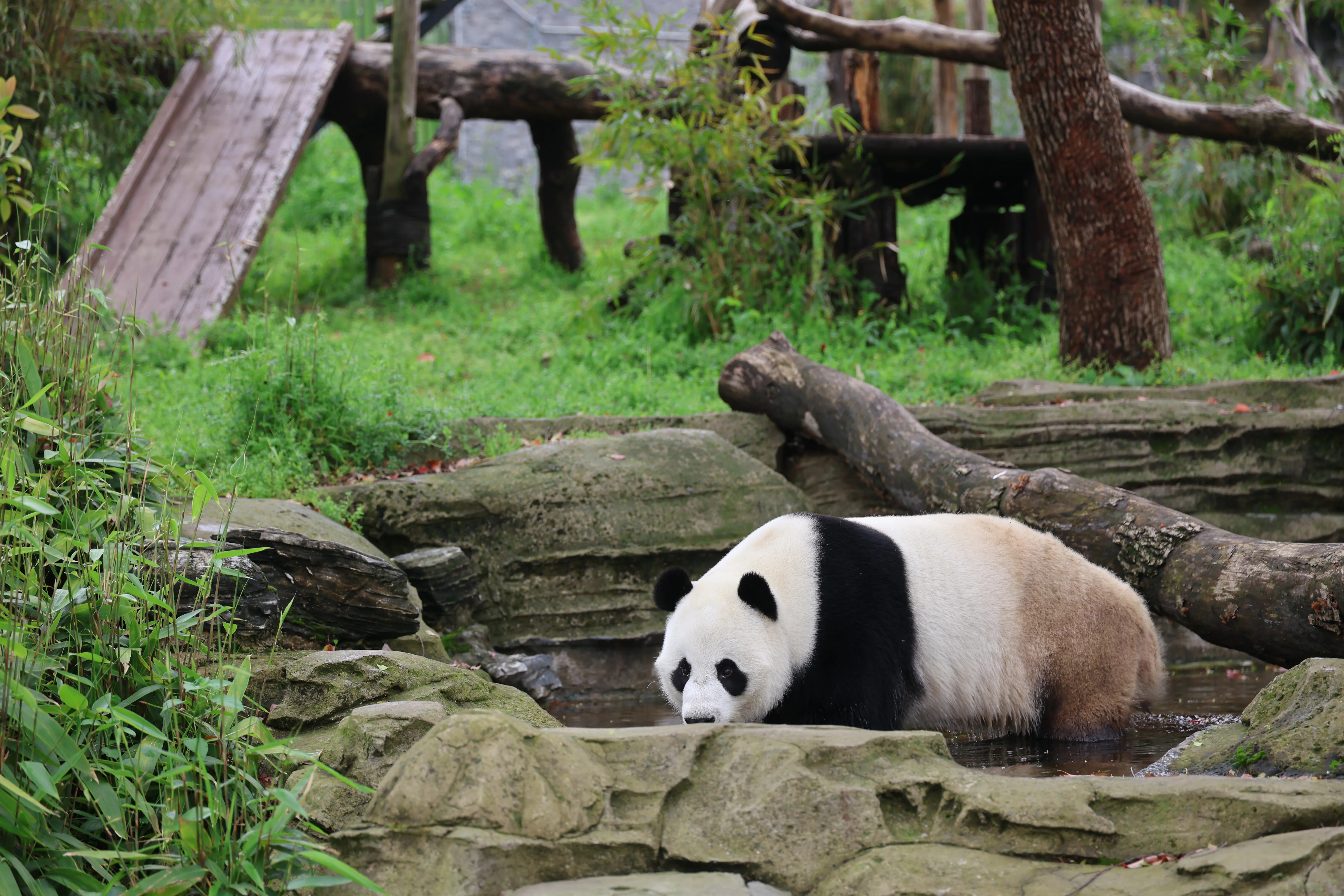Wuhan Zoo