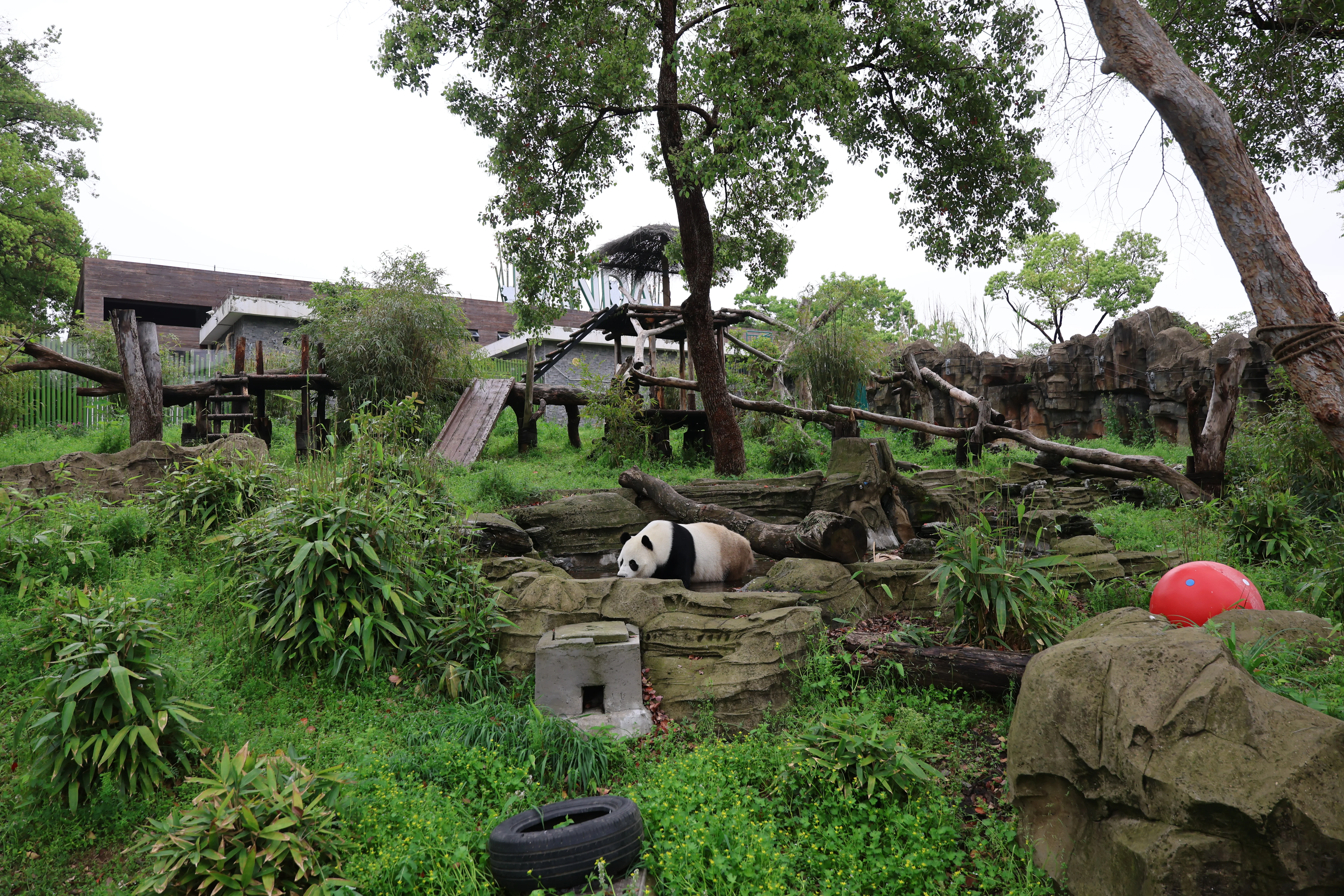 Wuhan Zoo