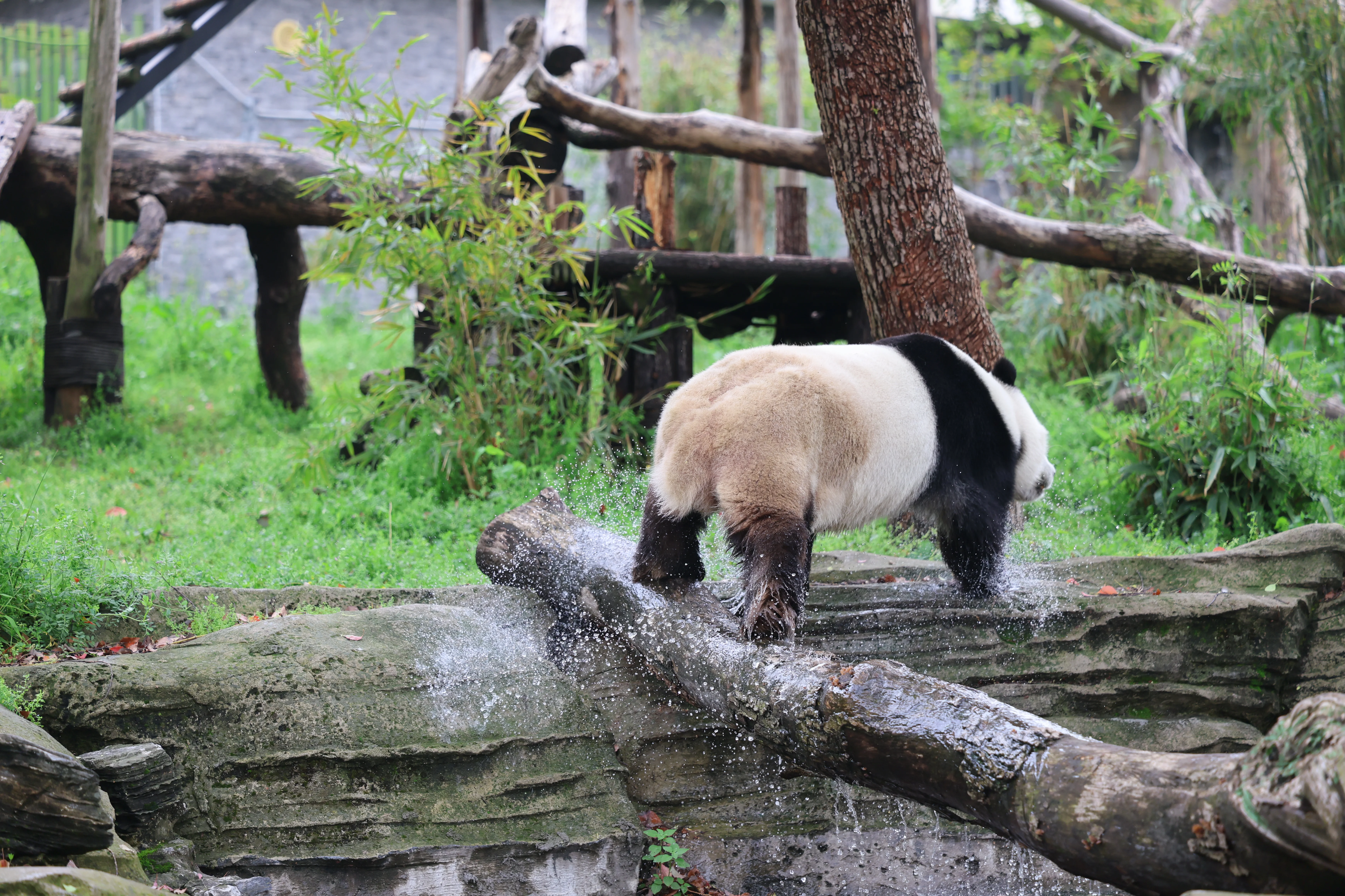 Wuhan Zoo