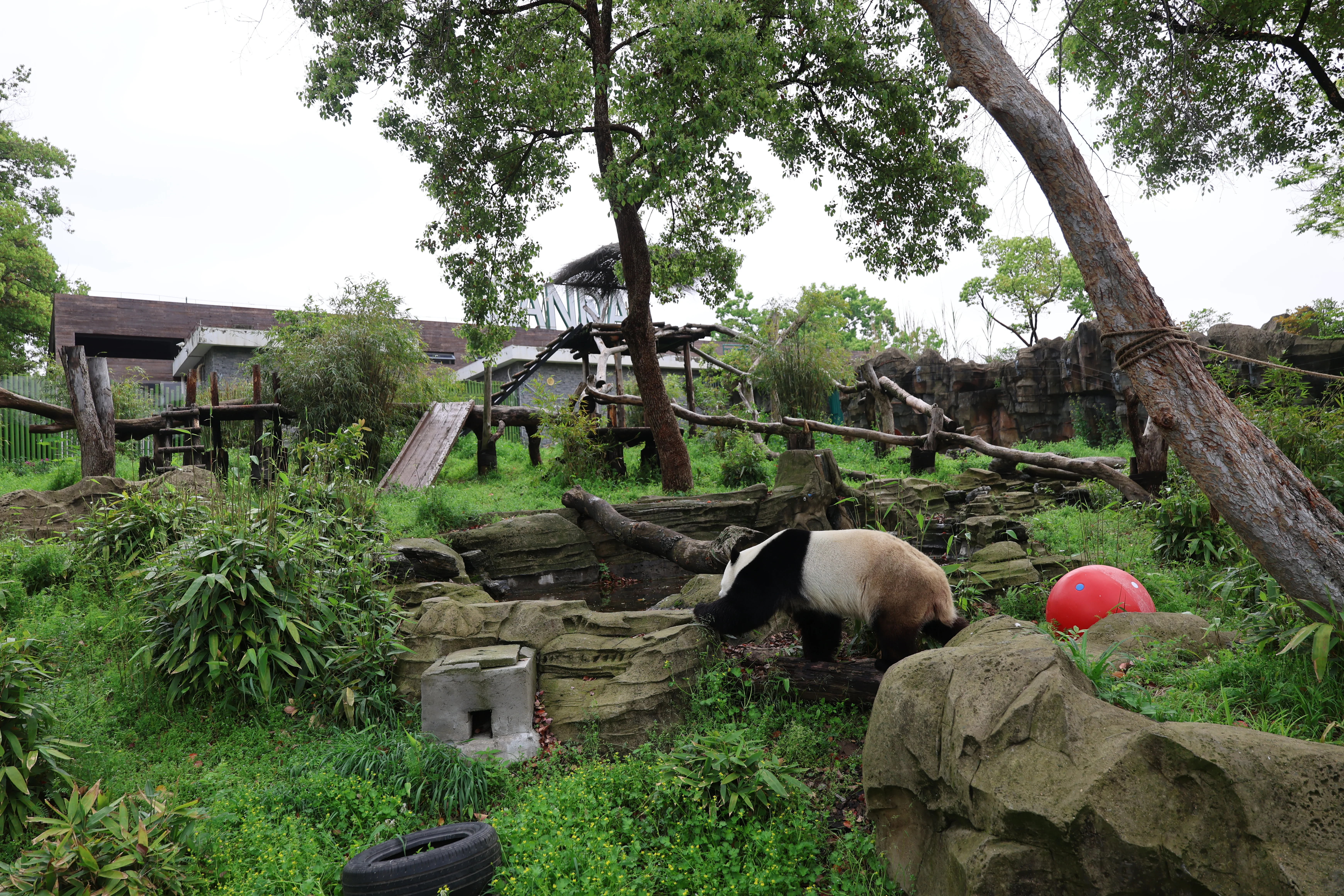 Wuhan Zoo