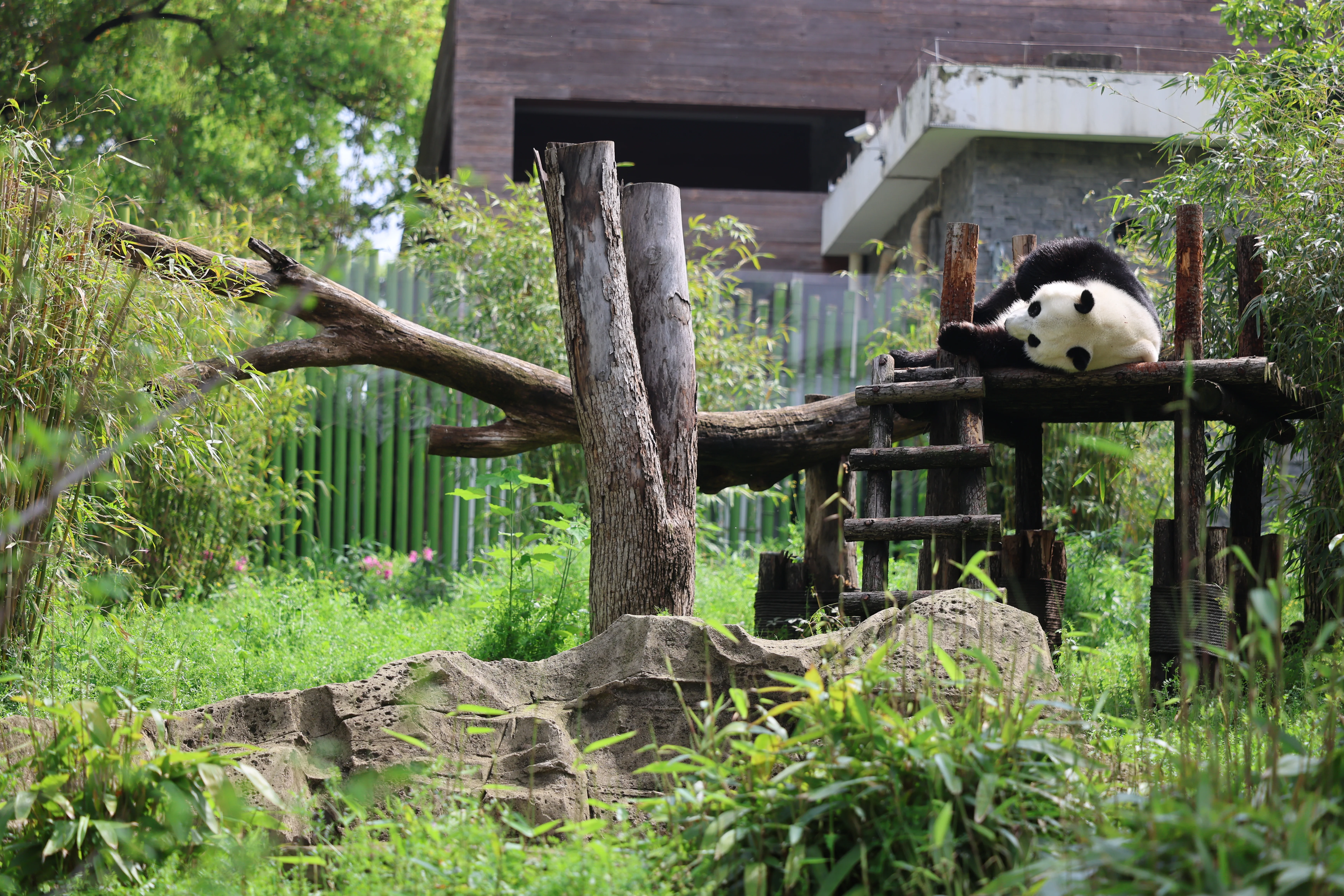 Wuhan Zoo