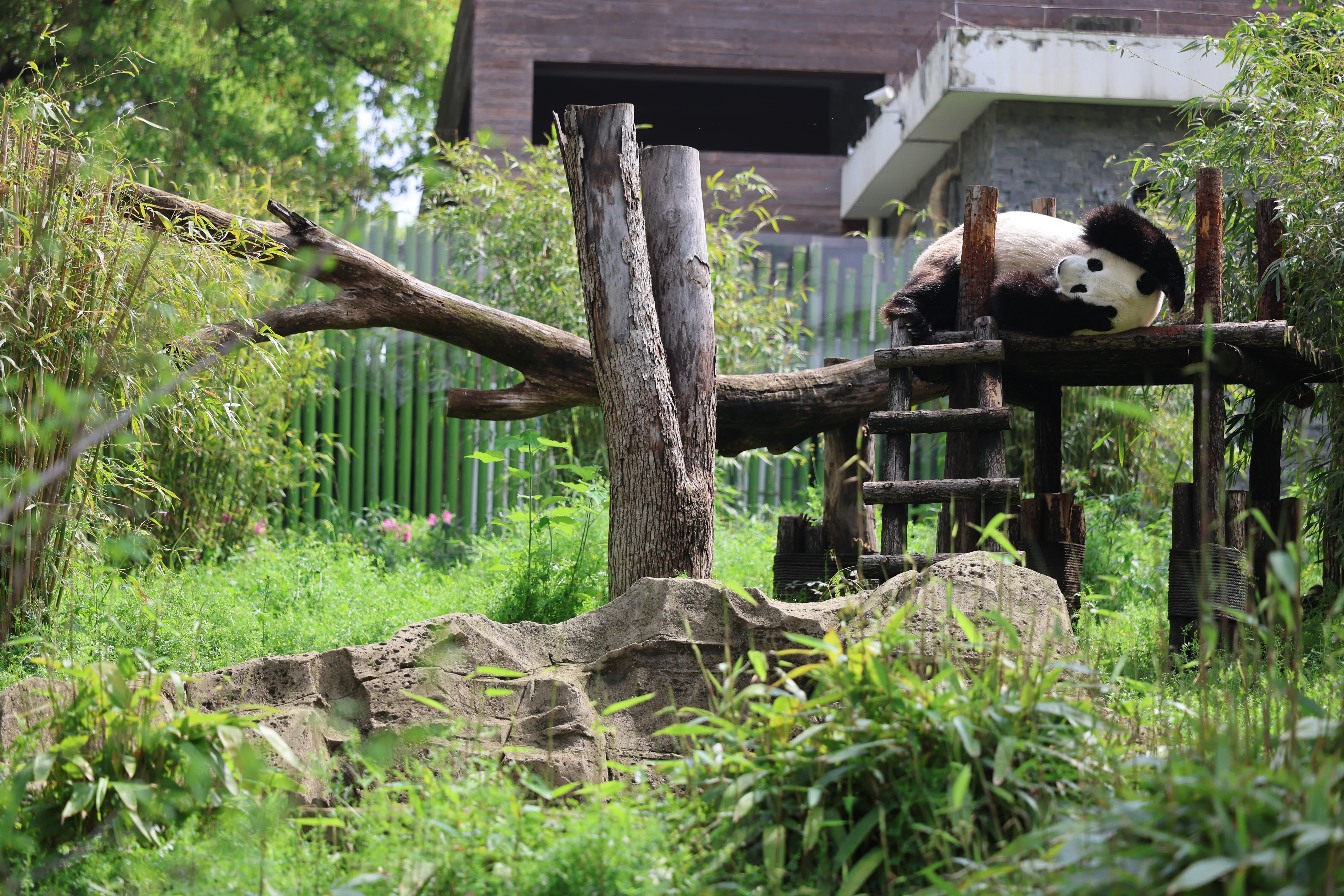 Wuhan Zoo