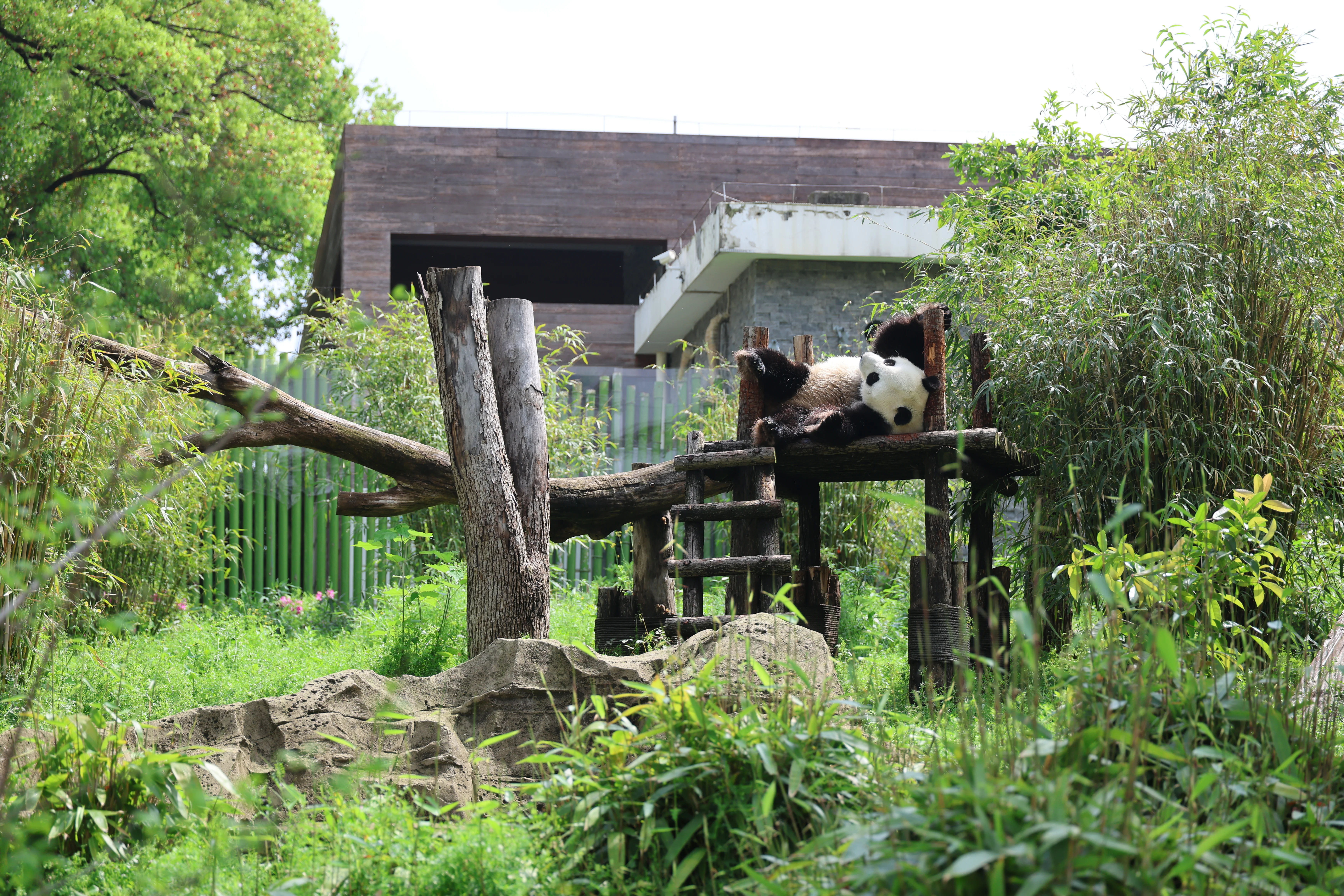 Wuhan Zoo