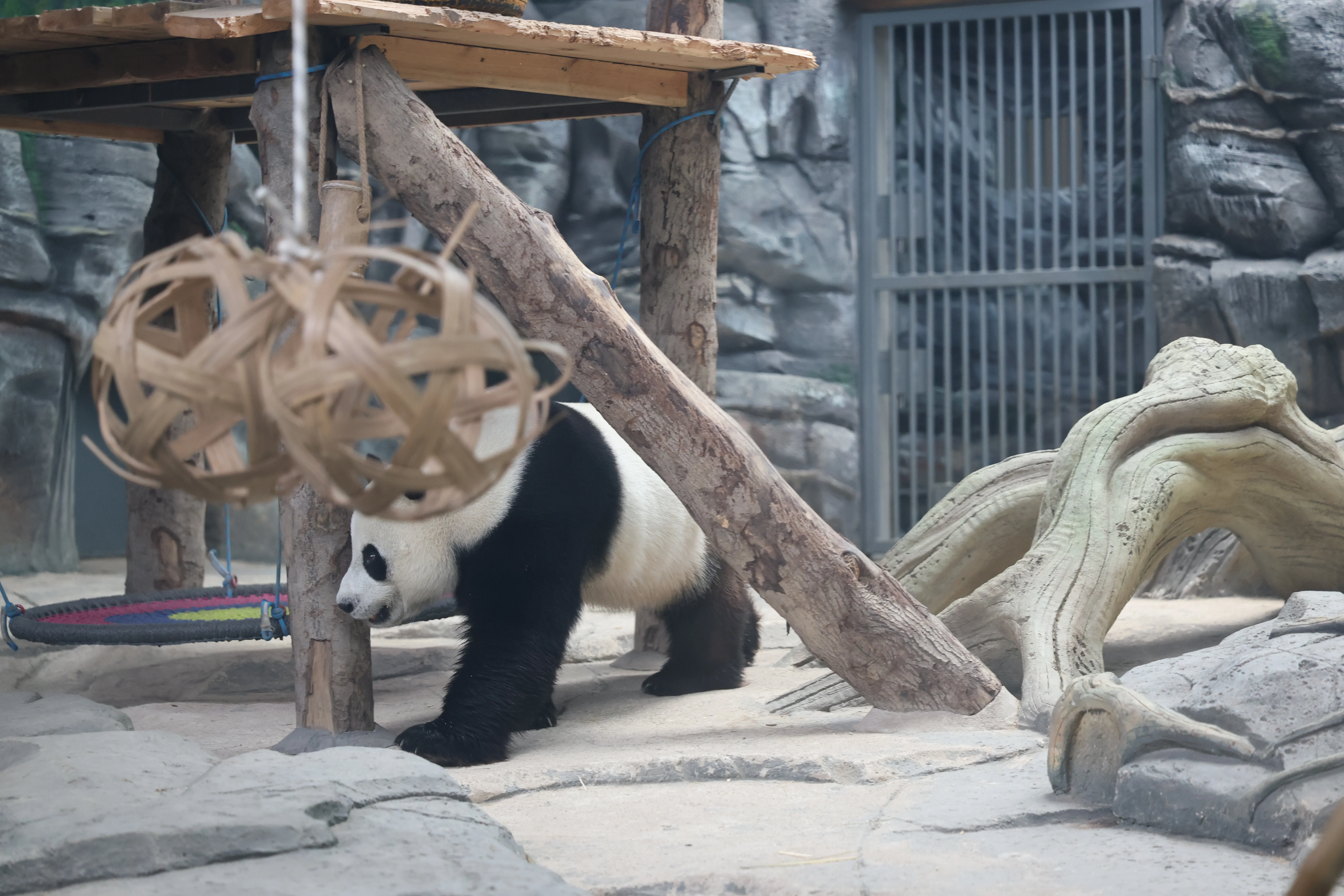 Wuhan Zoo