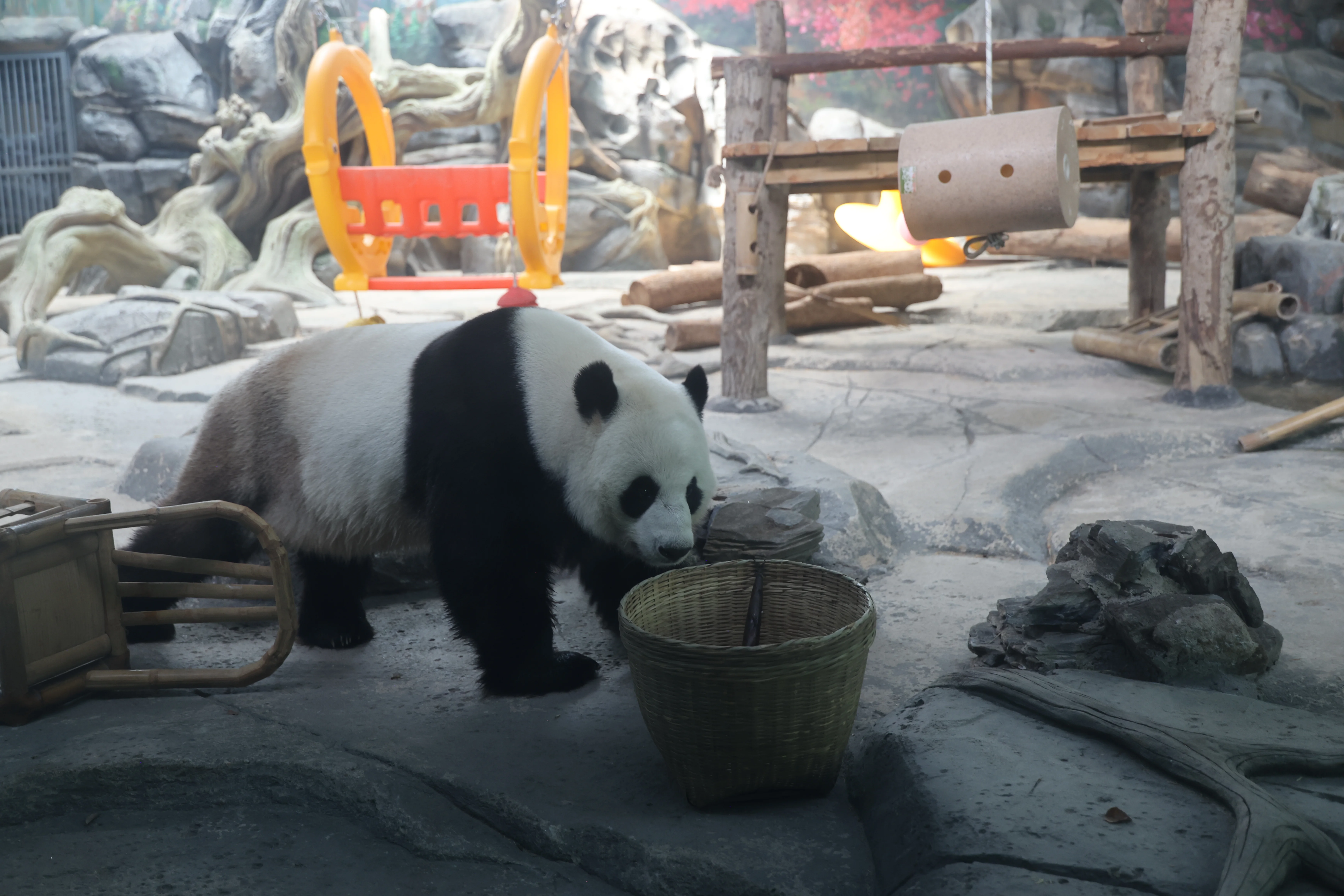Wuhan Zoo