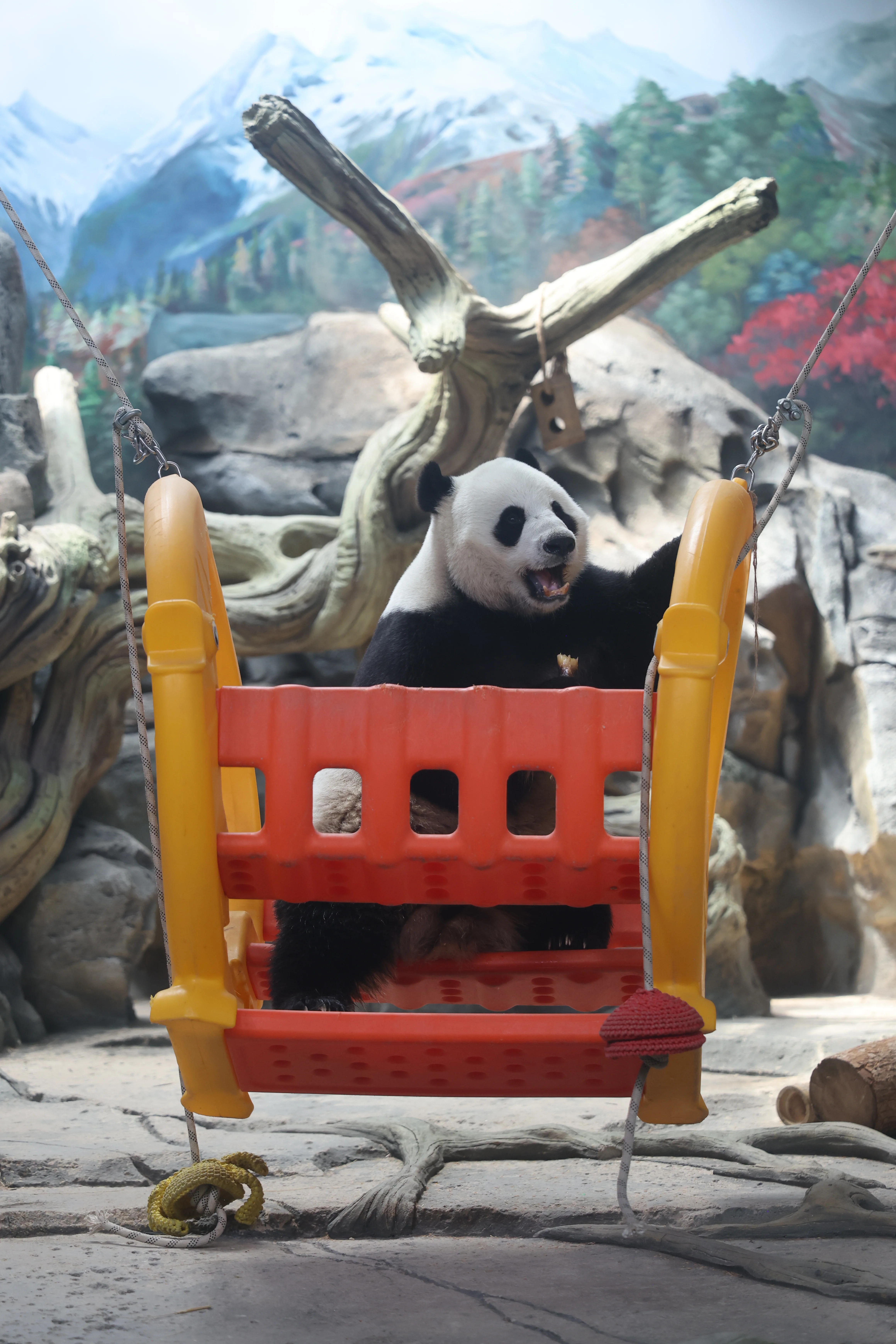 Wuhan Zoo